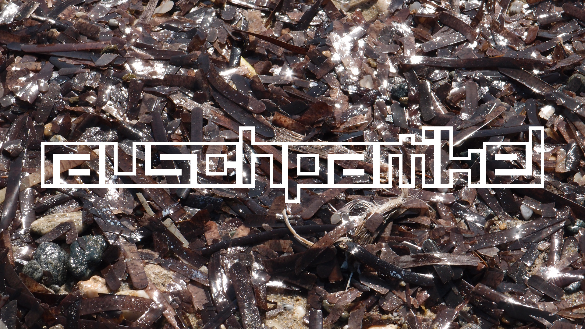 2021-09-17 03 Parasporos Beach Club (Zikaden) (Fieldrecording, Foto, Video)