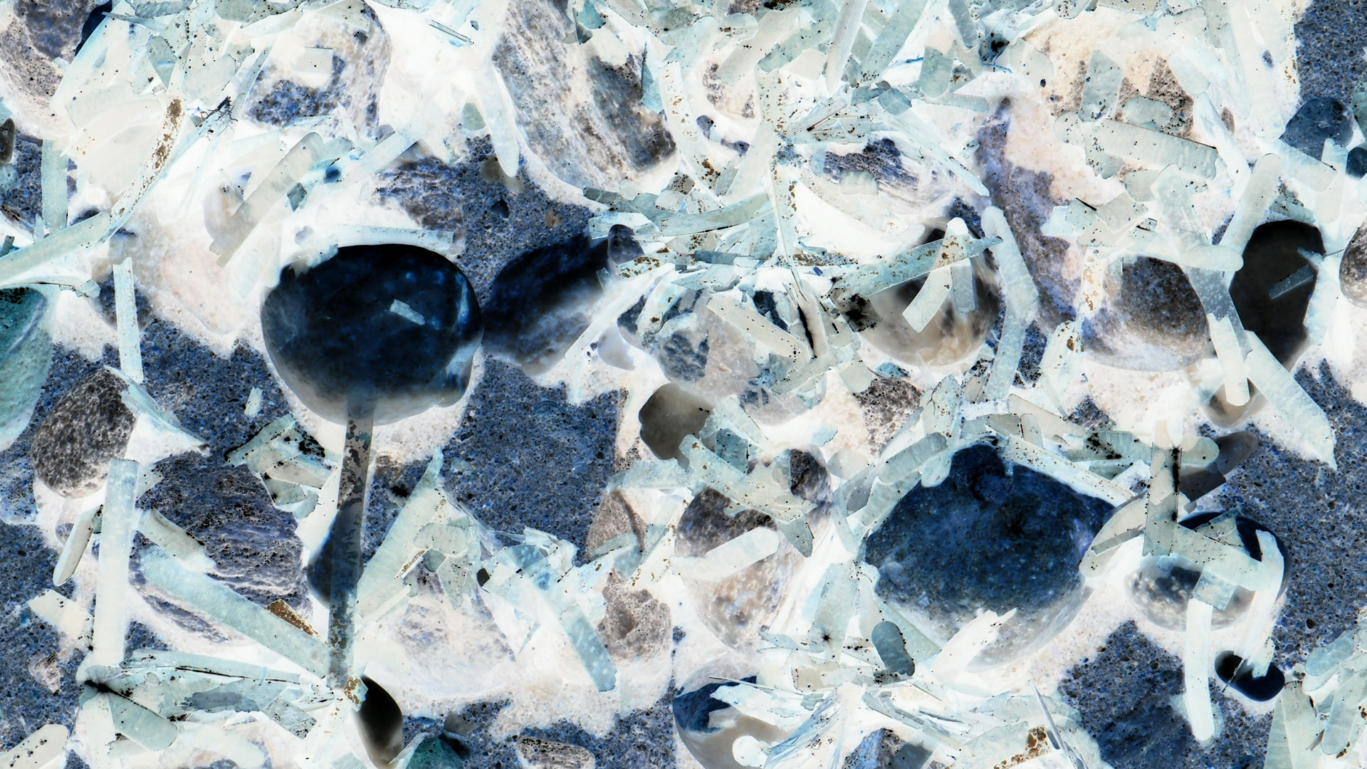 2021-09-17 03 Parasporos Beach Club (Zikaden) (Fieldrecording, Foto, Video)