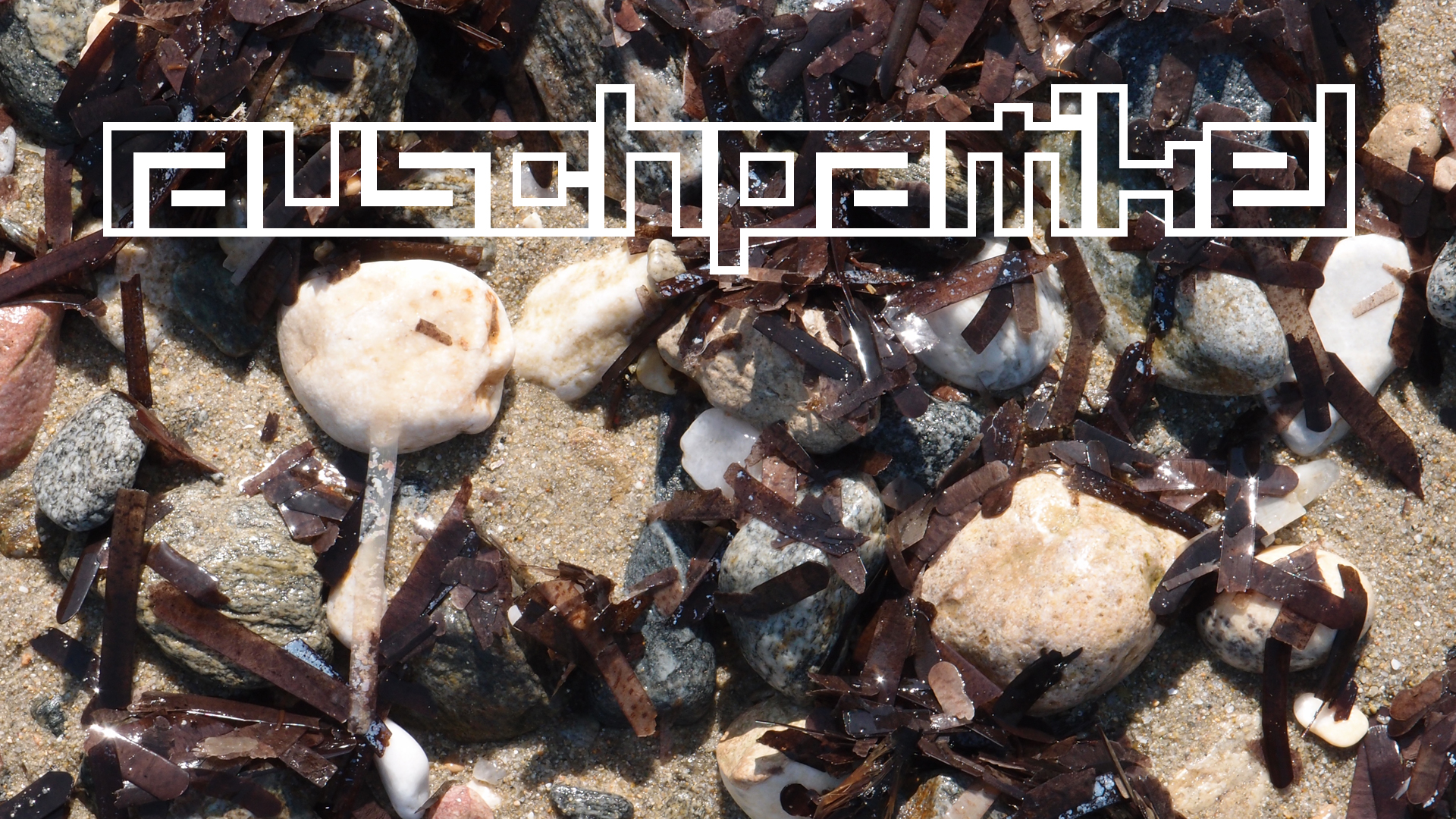 2021-09-17 03 Parasporos Beach Club (Zikaden) (Fieldrecording, Foto, Video)