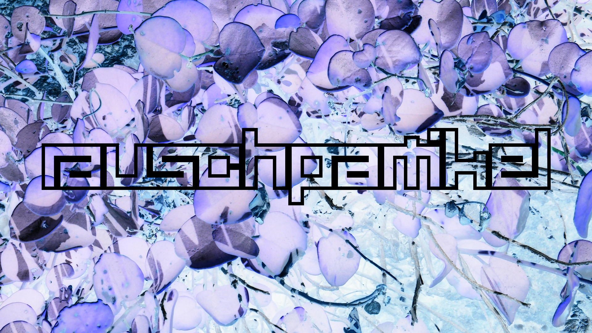 2021-09-17 03 Parasporos Beach Club (Zikaden) (Fieldrecording, Foto, Video)