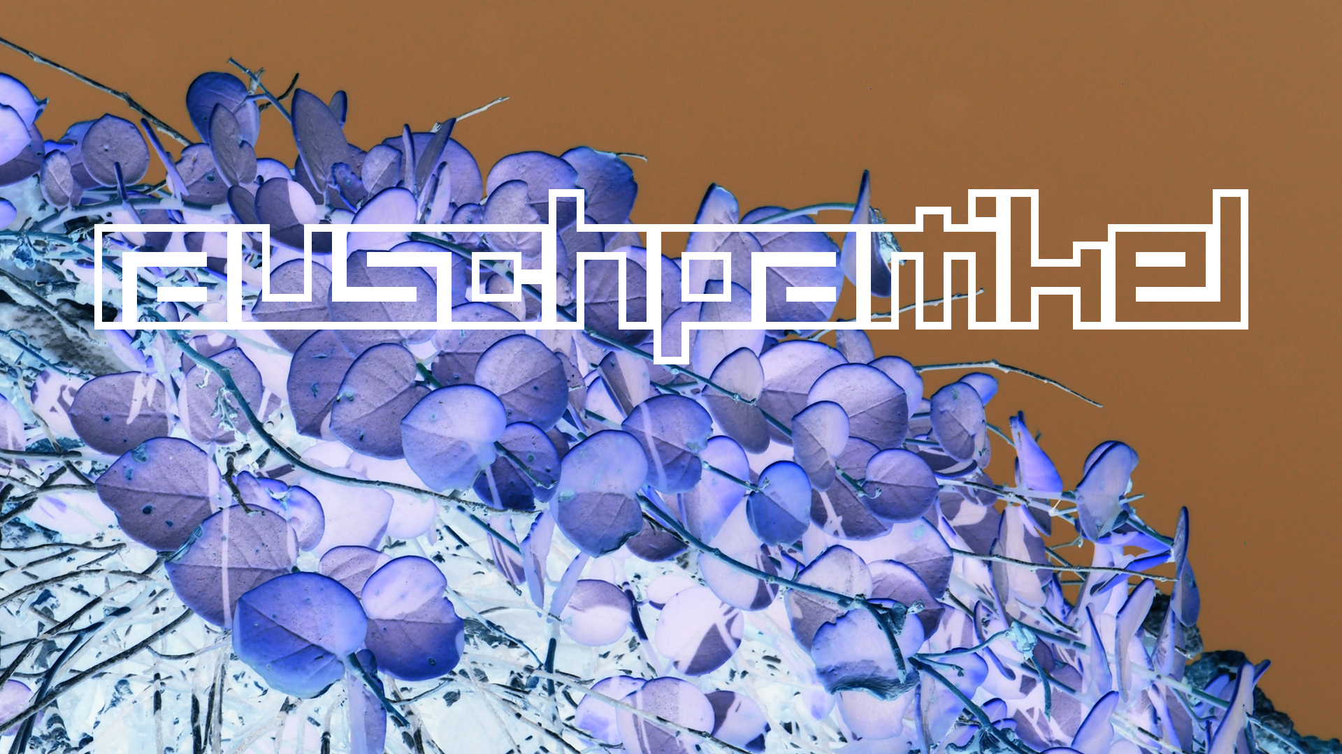 2021-09-17 03 Parasporos Beach Club (Zikaden) (Fieldrecording, Foto, Video)