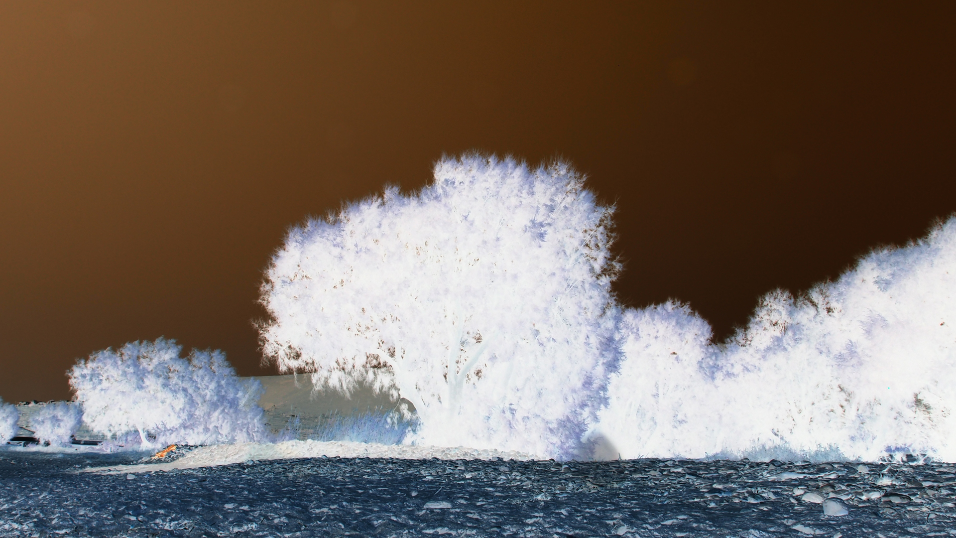 2021-09-17 03 Parasporos Beach Club (Zikaden) (Fieldrecording, Foto, Video)