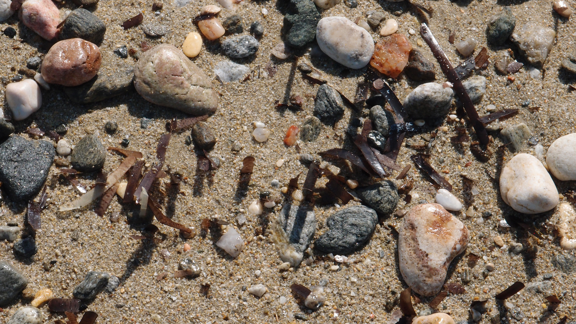 2021-09-17 03 Parasporos Beach Club (Zikaden) (Fieldrecording, Foto, Video)