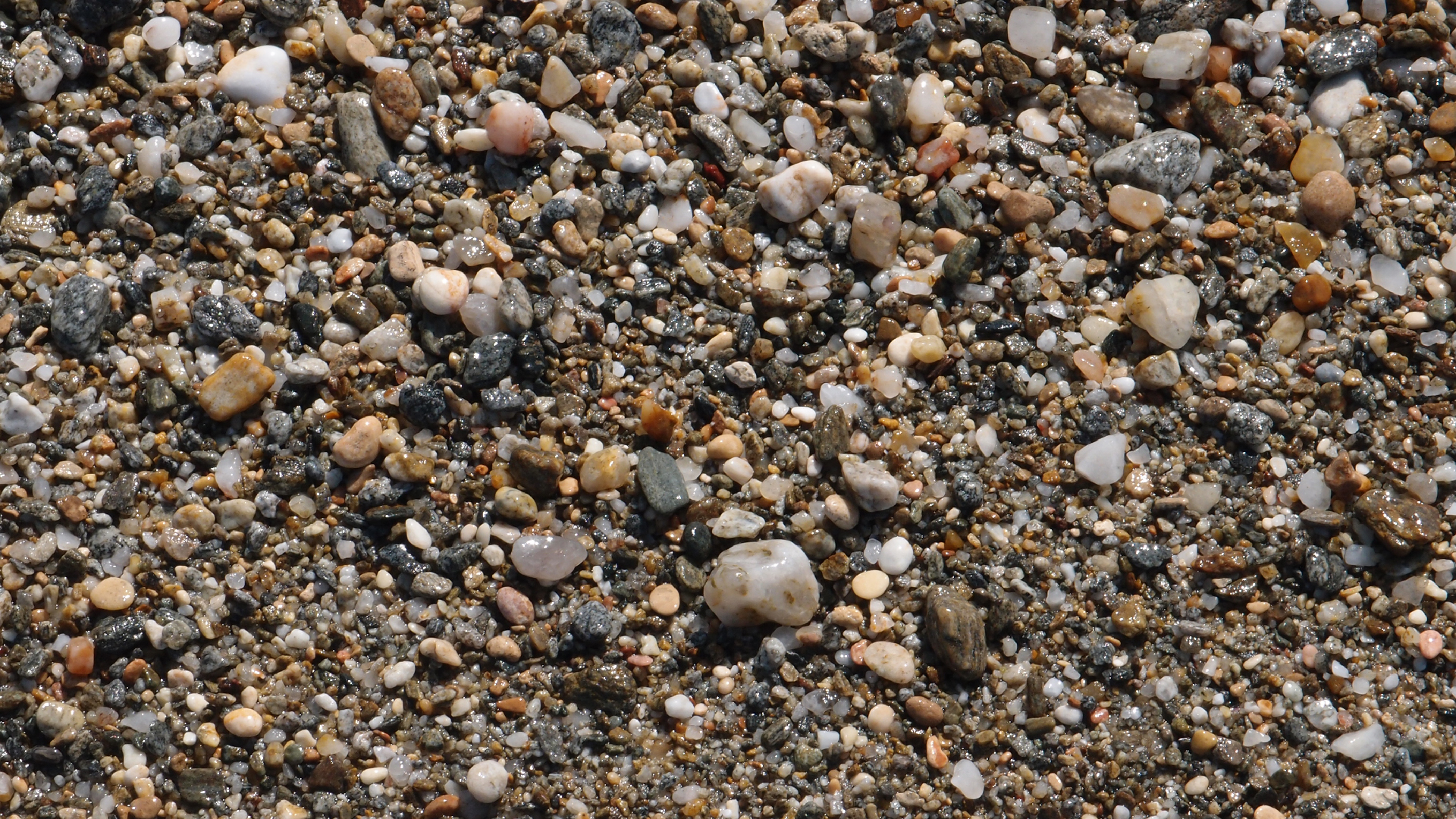 2021-09-17 03 Parasporos Beach Club (Zikaden) (Fieldrecording, Foto, Video)