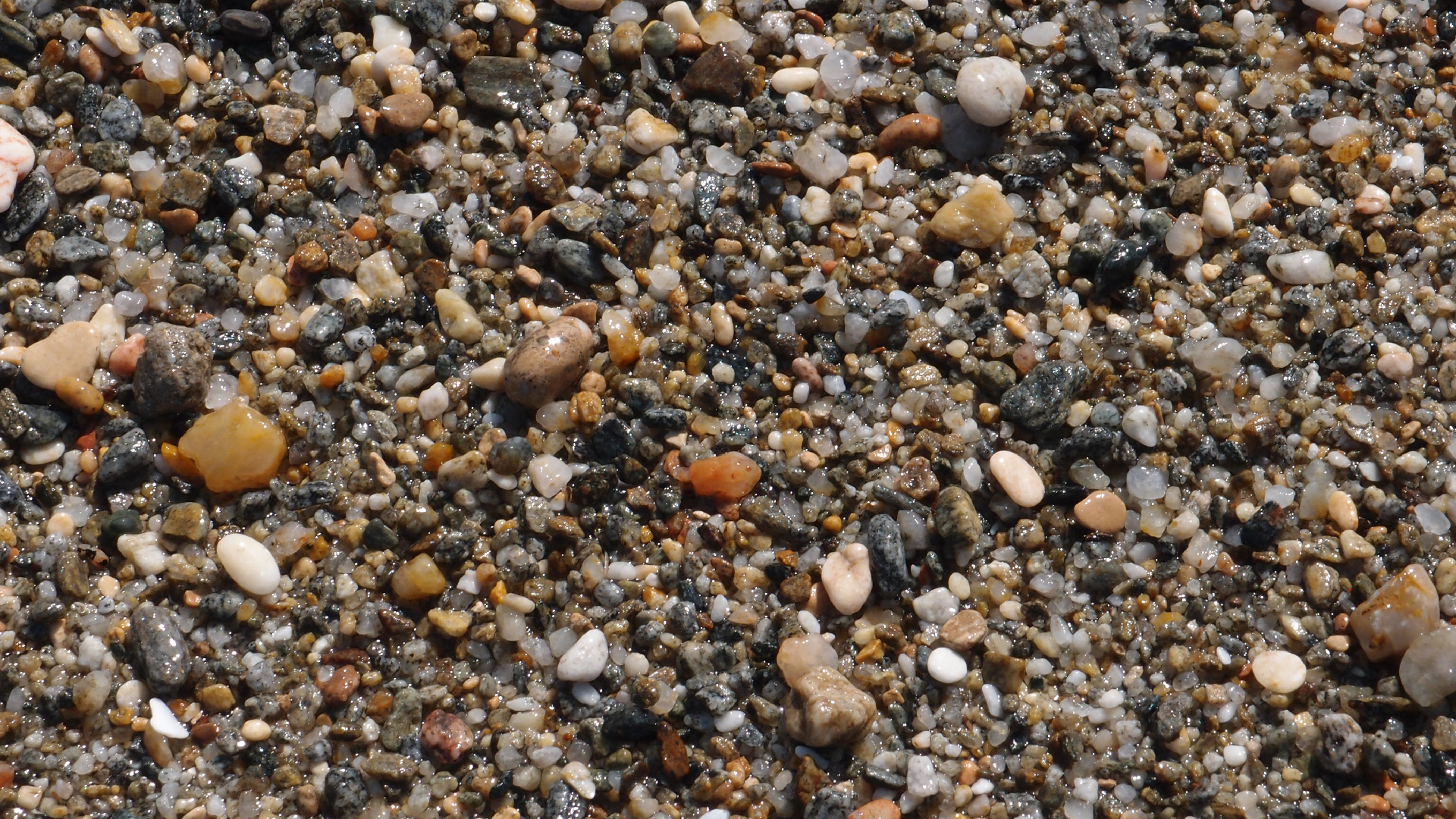 2021-09-17 03 Parasporos Beach Club (Zikaden) (Fieldrecording, Foto, Video)