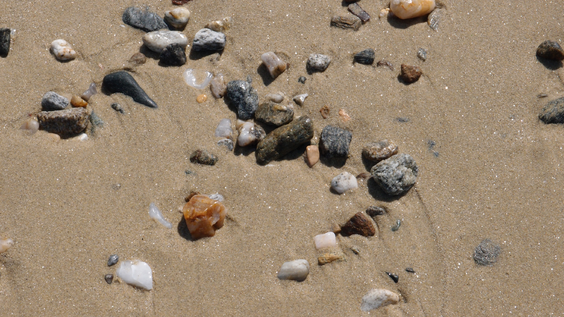 2021-09-17 03 Parasporos Beach Club (Zikaden) (Fieldrecording, Foto, Video)