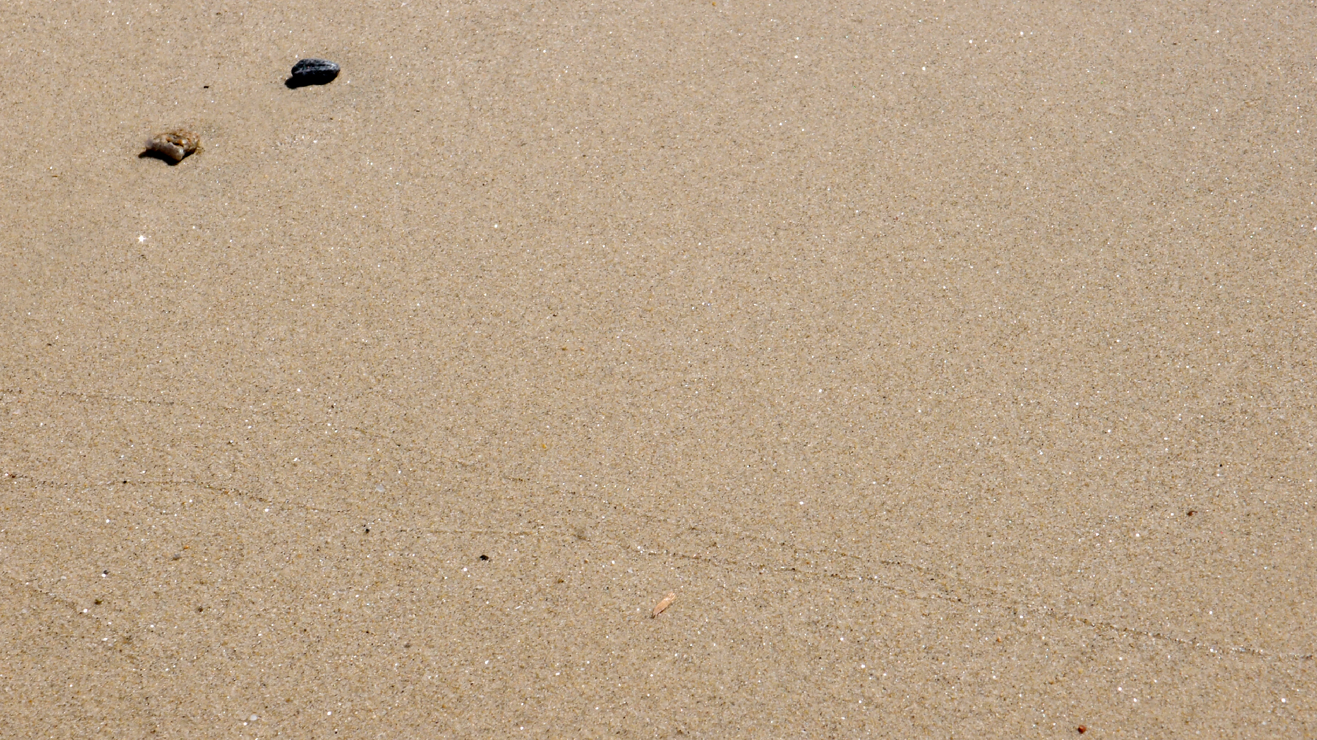 2021-09-17 03 Parasporos Beach Club (Zikaden) (Fieldrecording, Foto, Video)