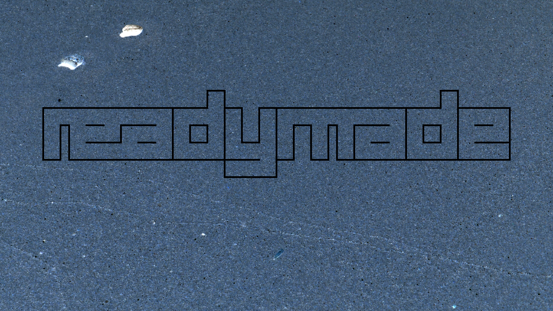 2021-09-17 03 Parasporos Beach Club (Zikaden) (Fieldrecording, Foto, Video)