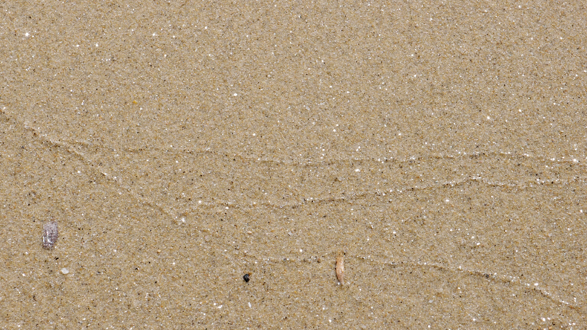 2021-09-17 03 Parasporos Beach Club (Zikaden) (Fieldrecording, Foto, Video)