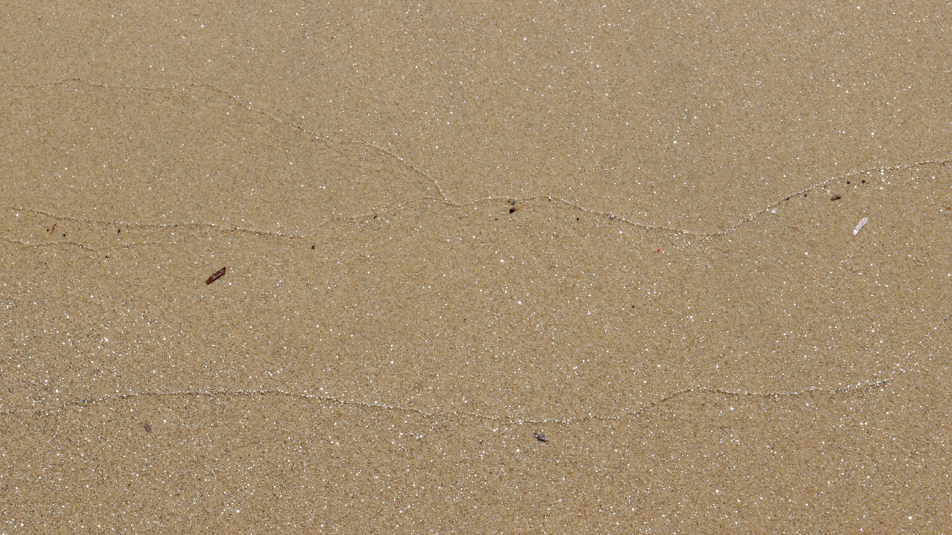 2021-09-17 03 Parasporos Beach Club (Zikaden) (Fieldrecording, Foto, Video)