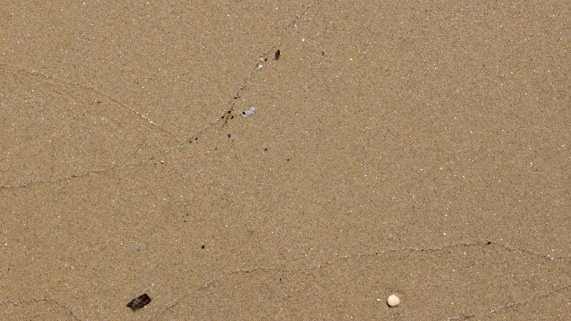 2021-09-17 03 Parasporos Beach Club (Zikaden) (Fieldrecording, Foto, Video)