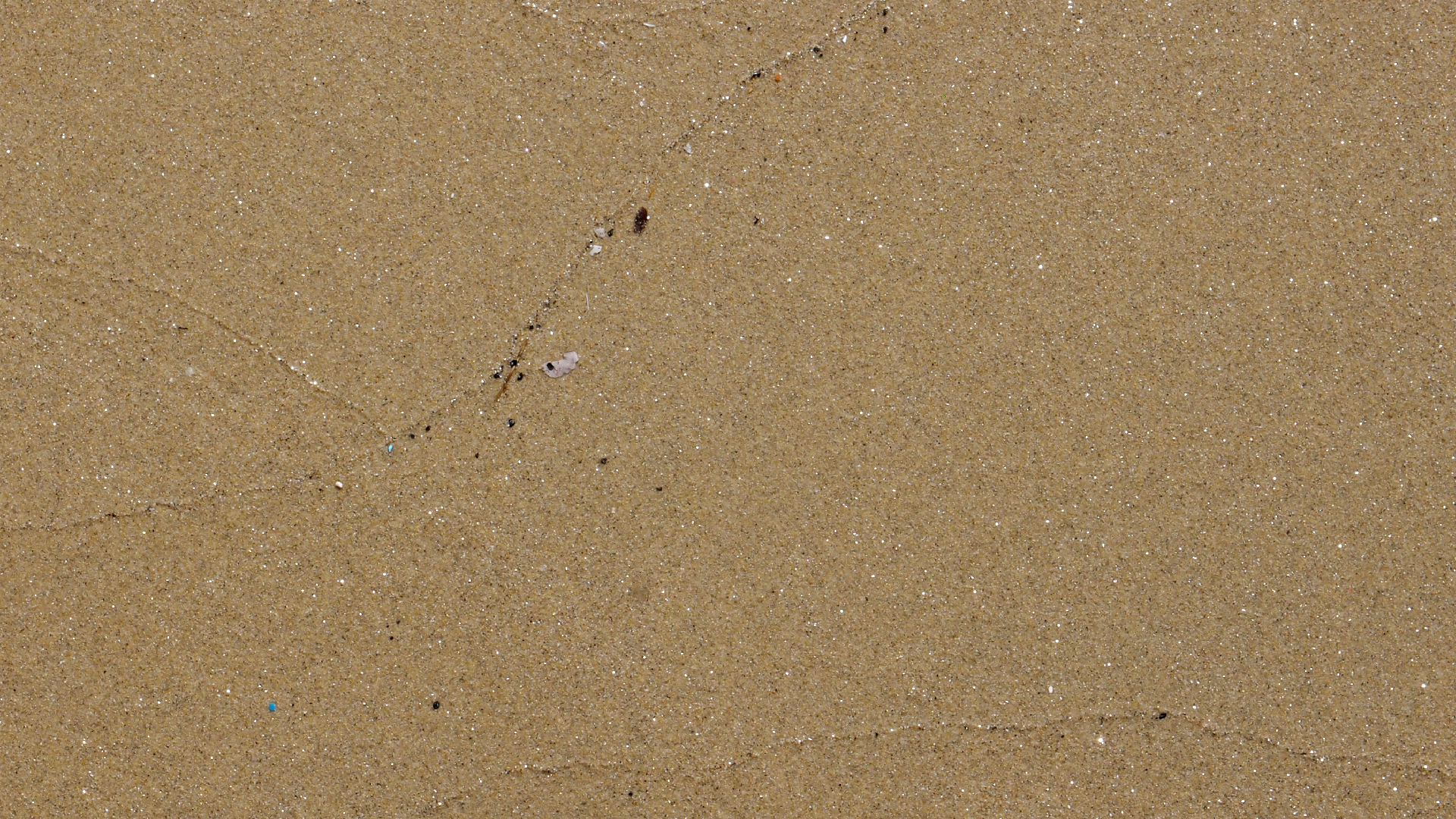 2021-09-17 03 Parasporos Beach Club (Zikaden) (Fieldrecording, Foto, Video)