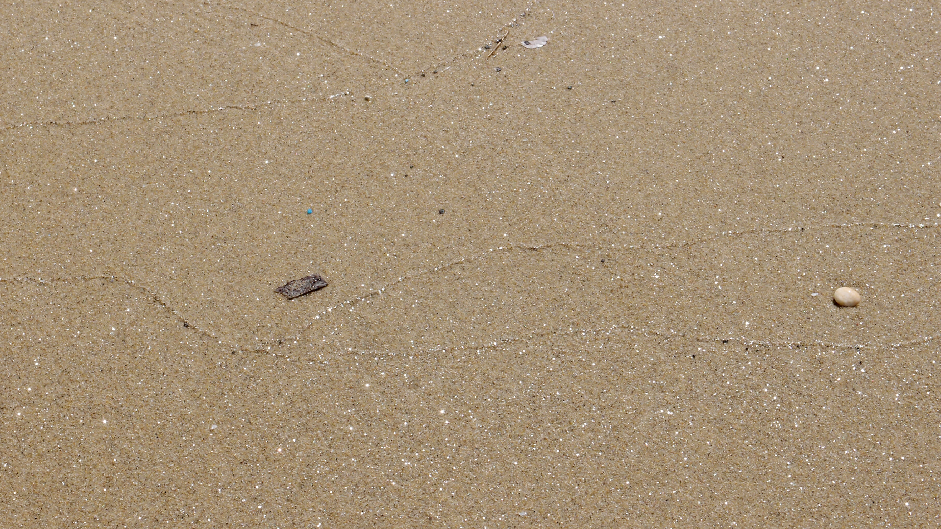 2021-09-17 03 Parasporos Beach Club (Zikaden) (Fieldrecording, Foto, Video)