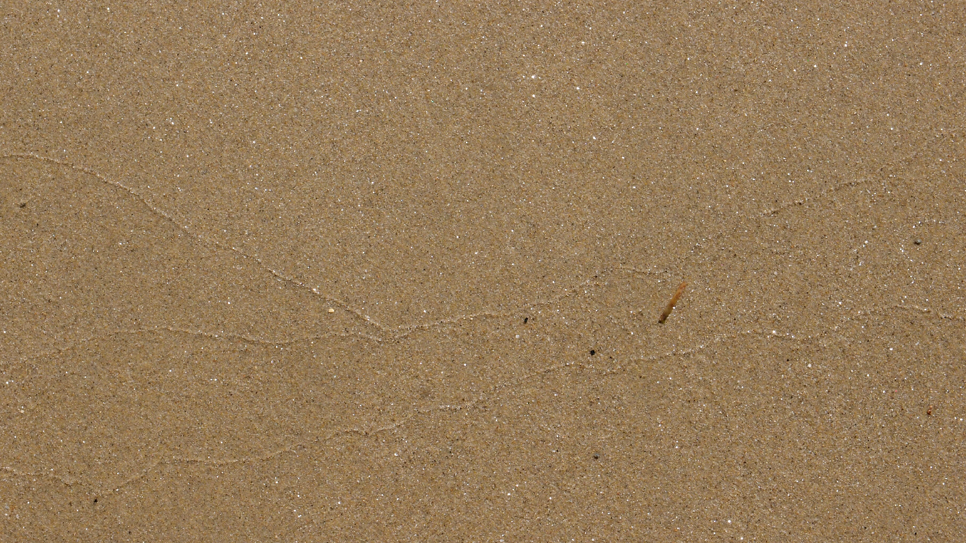 2021-09-17 03 Parasporos Beach Club (Zikaden) (Fieldrecording, Foto, Video)