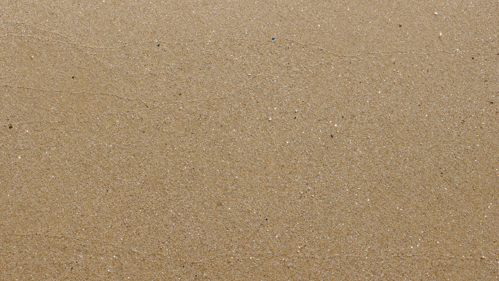 2021-09-17 03 Parasporos Beach Club (Zikaden) (Fieldrecording, Foto, Video)