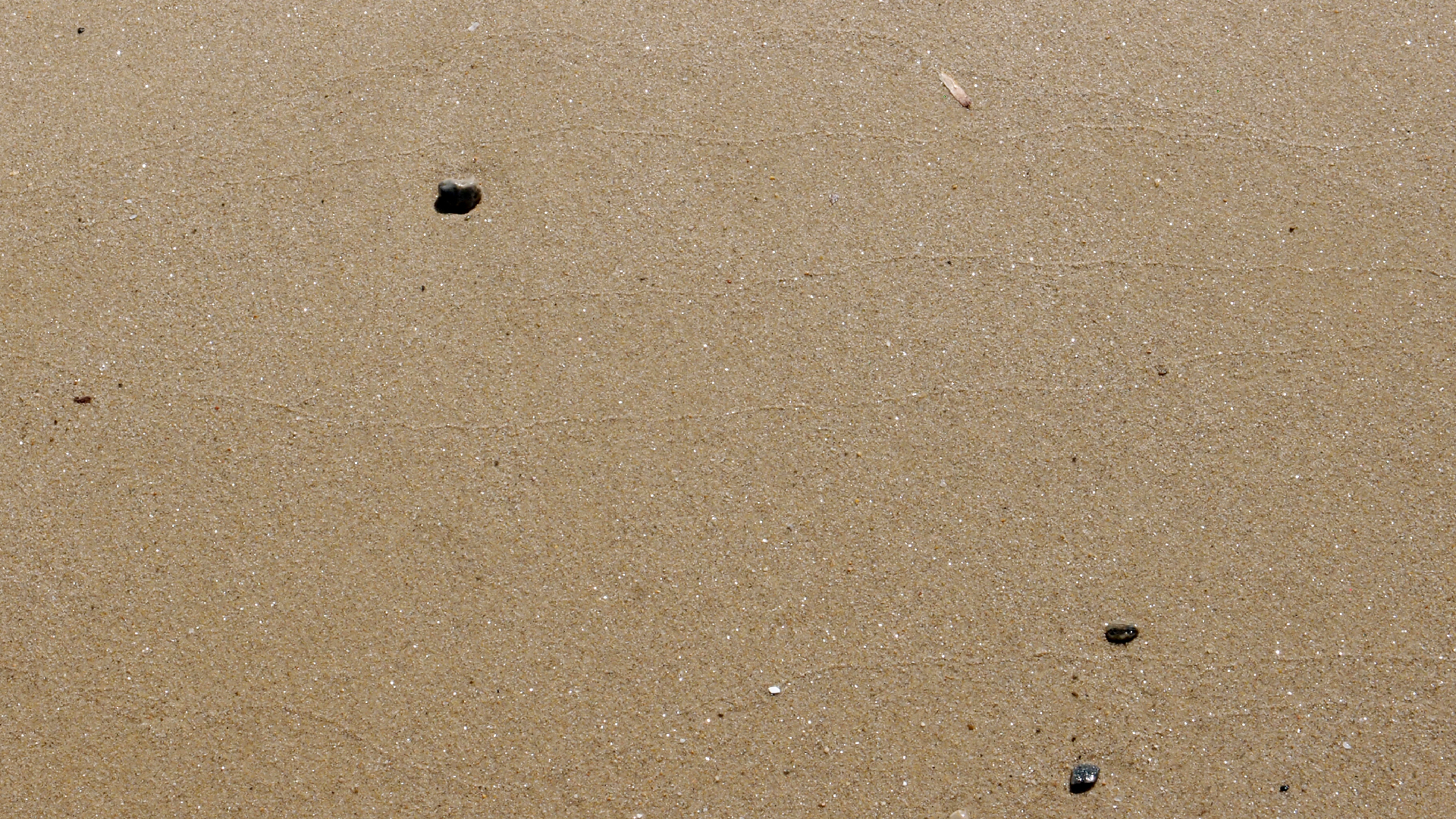 2021-09-17 03 Parasporos Beach Club (Zikaden) (Fieldrecording, Foto, Video)