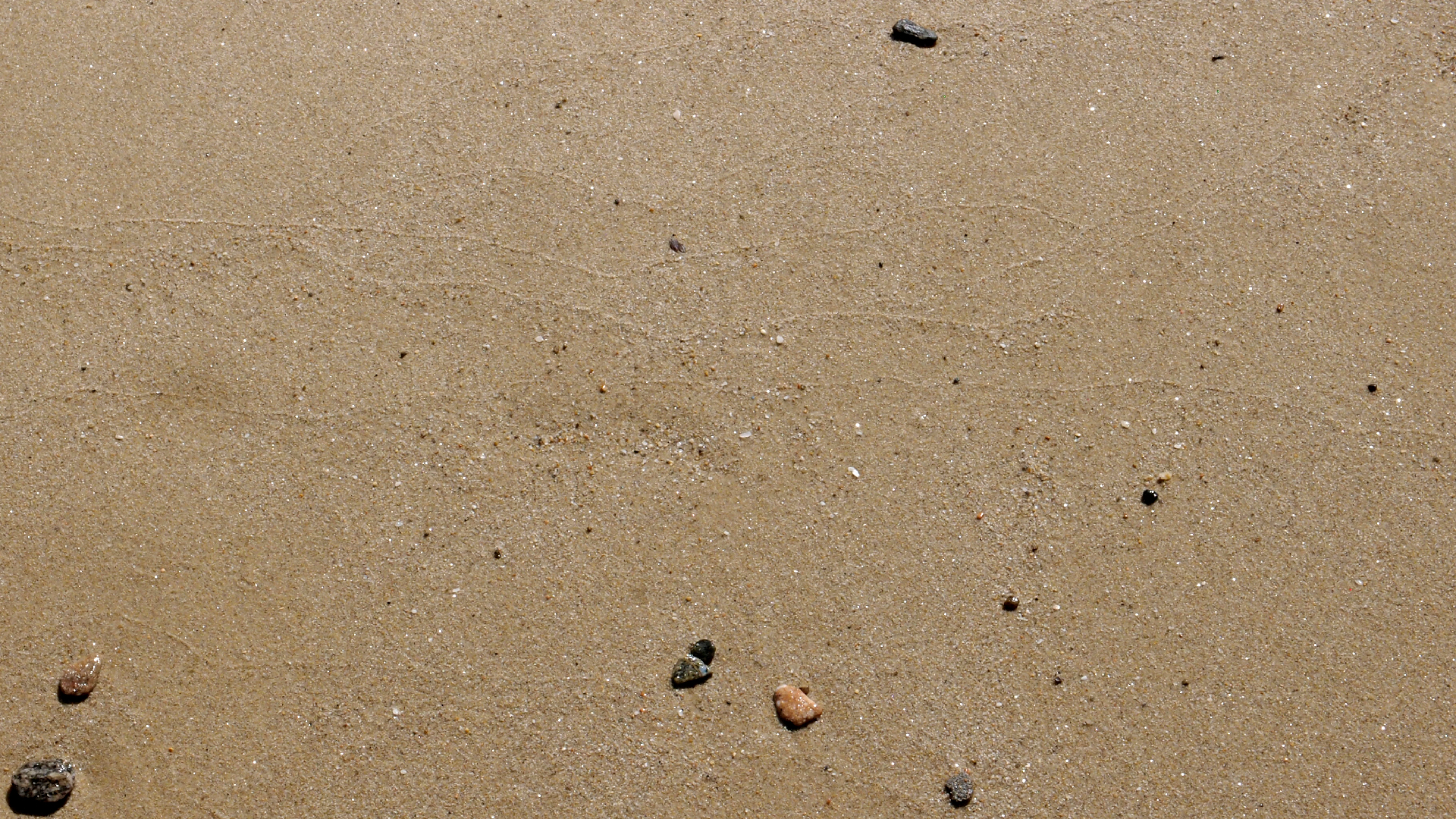 2021-09-17 03 Parasporos Beach Club (Zikaden) (Fieldrecording, Foto, Video)