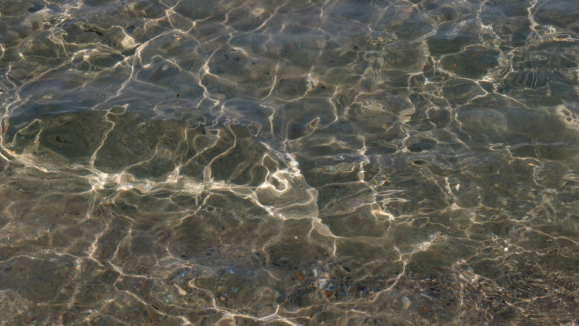 2021-09-17 03 Parasporos Beach Club (Zikaden) (Fieldrecording, Foto, Video)