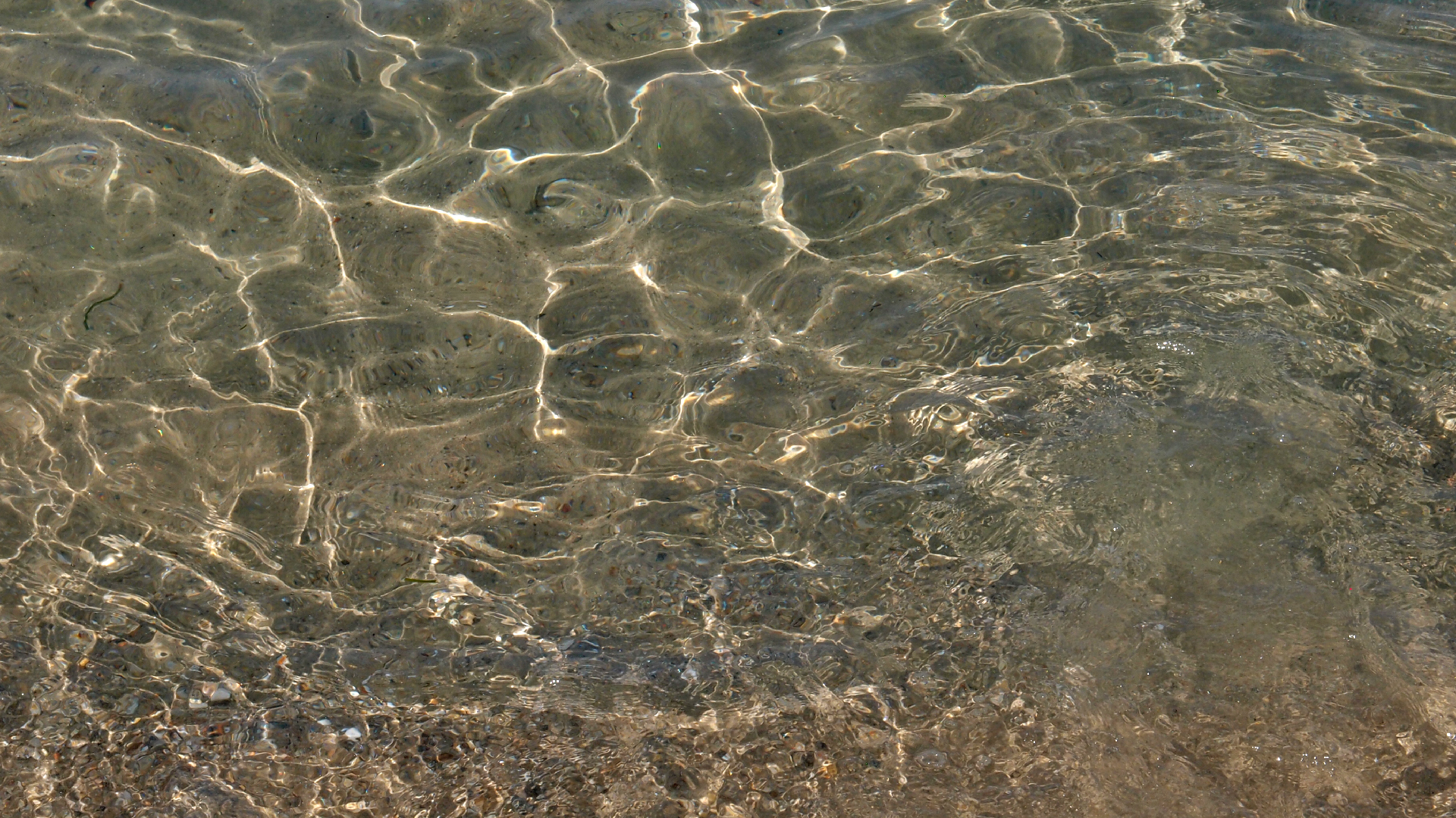 2021-09-17 03 Parasporos Beach Club (Zikaden) (Fieldrecording, Foto, Video)