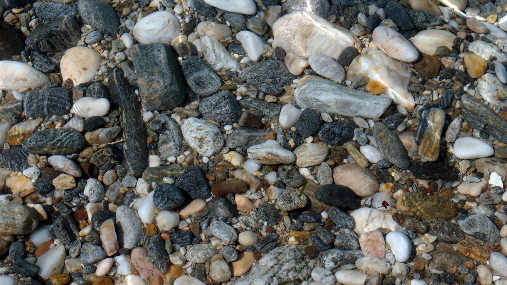 2021-09-17 03 Parasporos Beach Club (Zikaden) (Fieldrecording, Foto, Video)