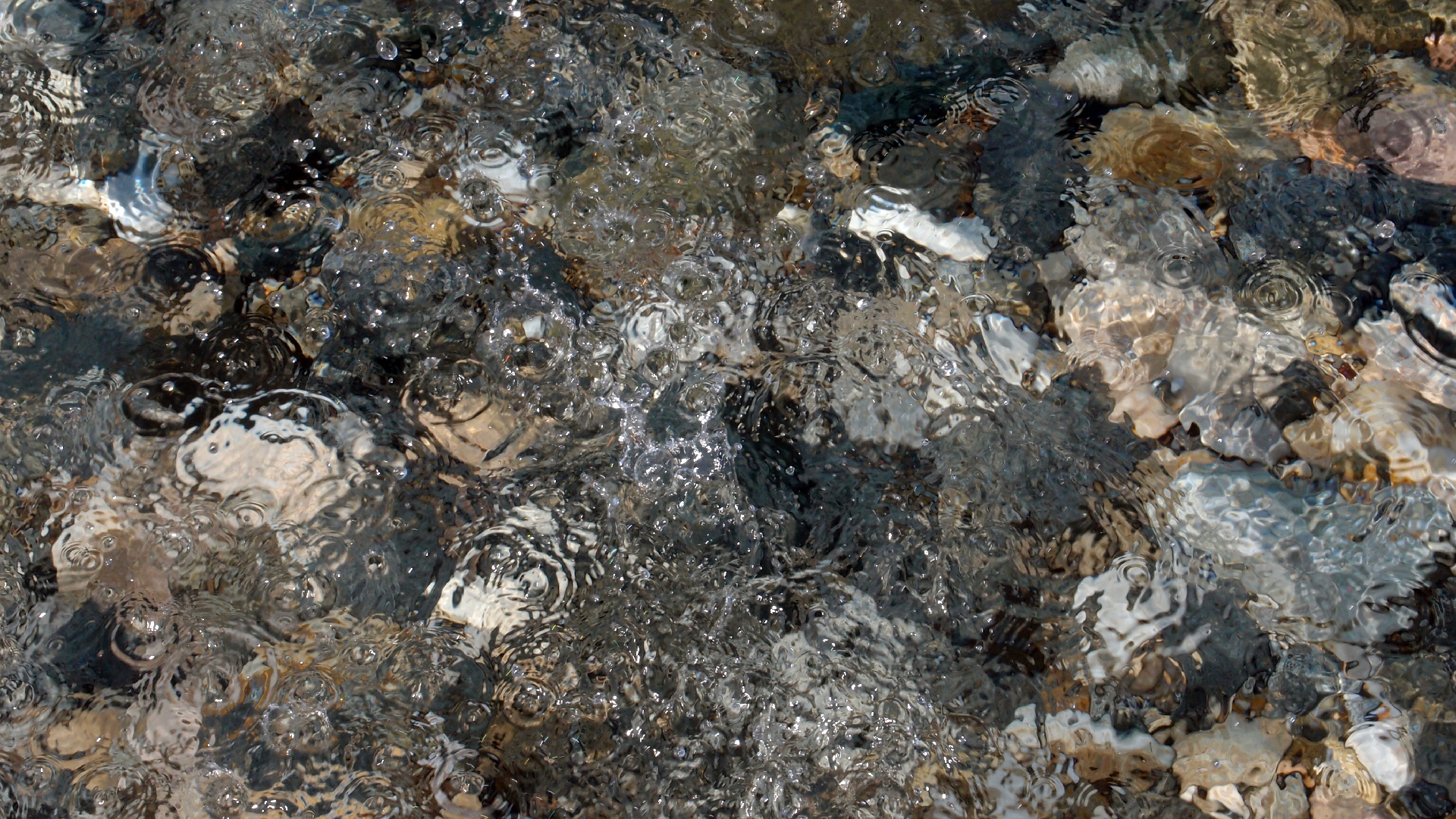 2021-09-17 03 Parasporos Beach Club (Zikaden) (Fieldrecording, Foto, Video)