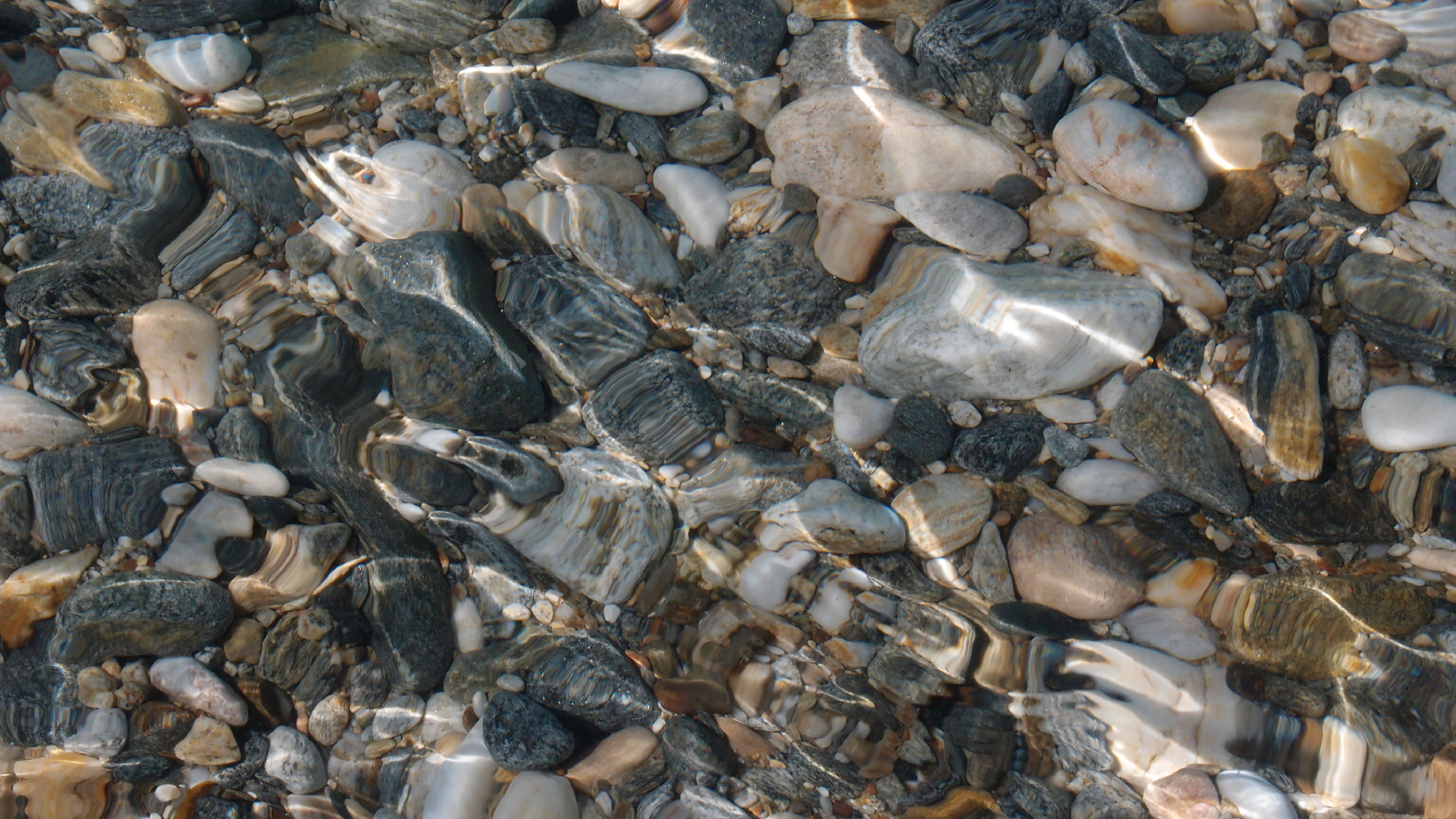 2021-09-17 03 Parasporos Beach Club (Zikaden) (Fieldrecording, Foto, Video)