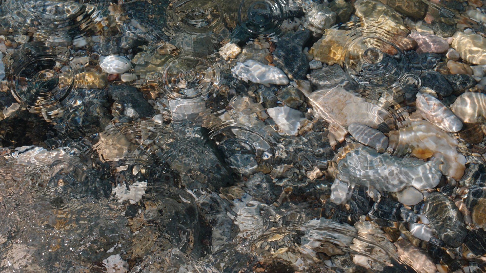 2021-09-17 03 Parasporos Beach Club (Zikaden) (Fieldrecording, Foto, Video)