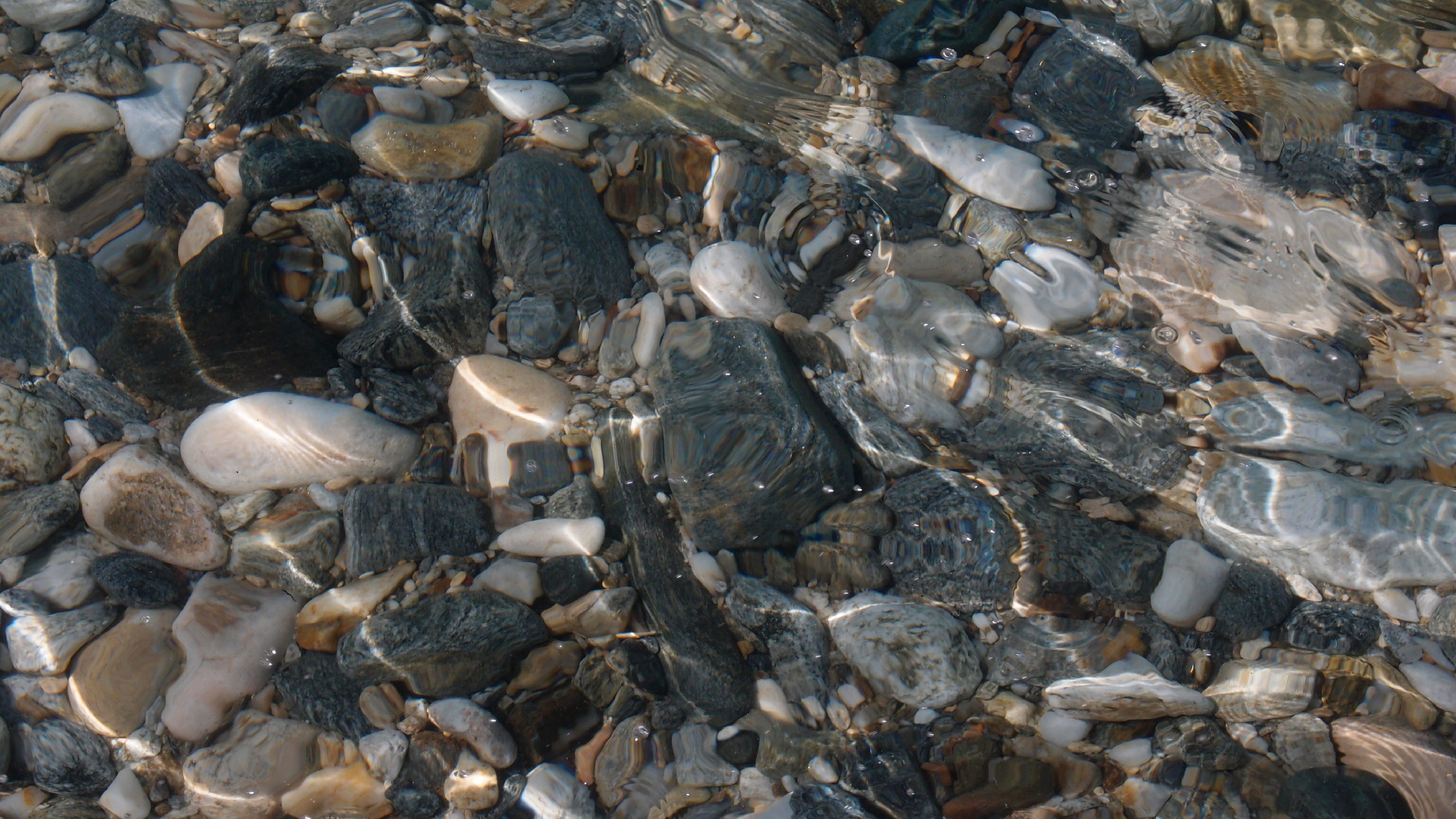 2021-09-17 03 Parasporos Beach Club (Zikaden) (Fieldrecording, Foto, Video)