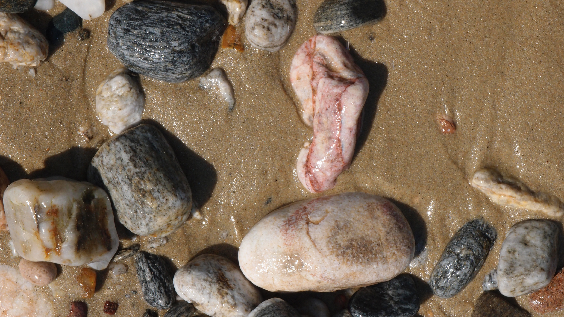 2021-09-17 03 Parasporos Beach Club (Zikaden) (Fieldrecording, Foto, Video)