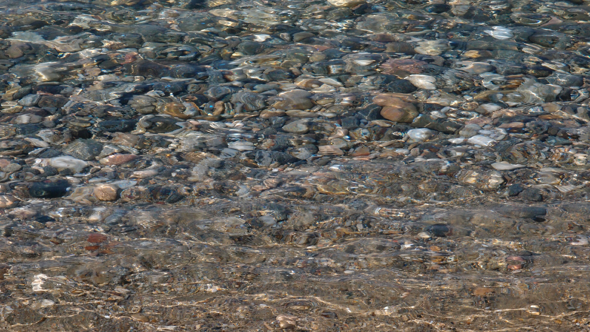 2021-09-17 03 Parasporos Beach Club (Zikaden) (Fieldrecording, Foto, Video)