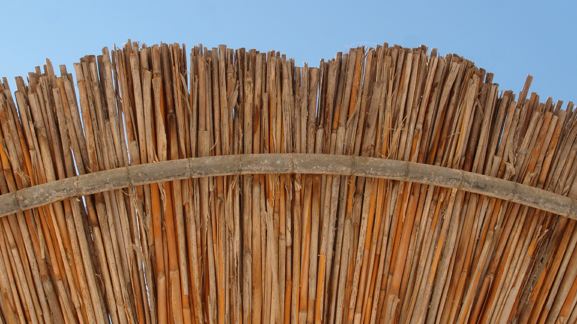 2021-09-17 03 Parasporos Beach Club (Zikaden) (Fieldrecording, Foto, Video)