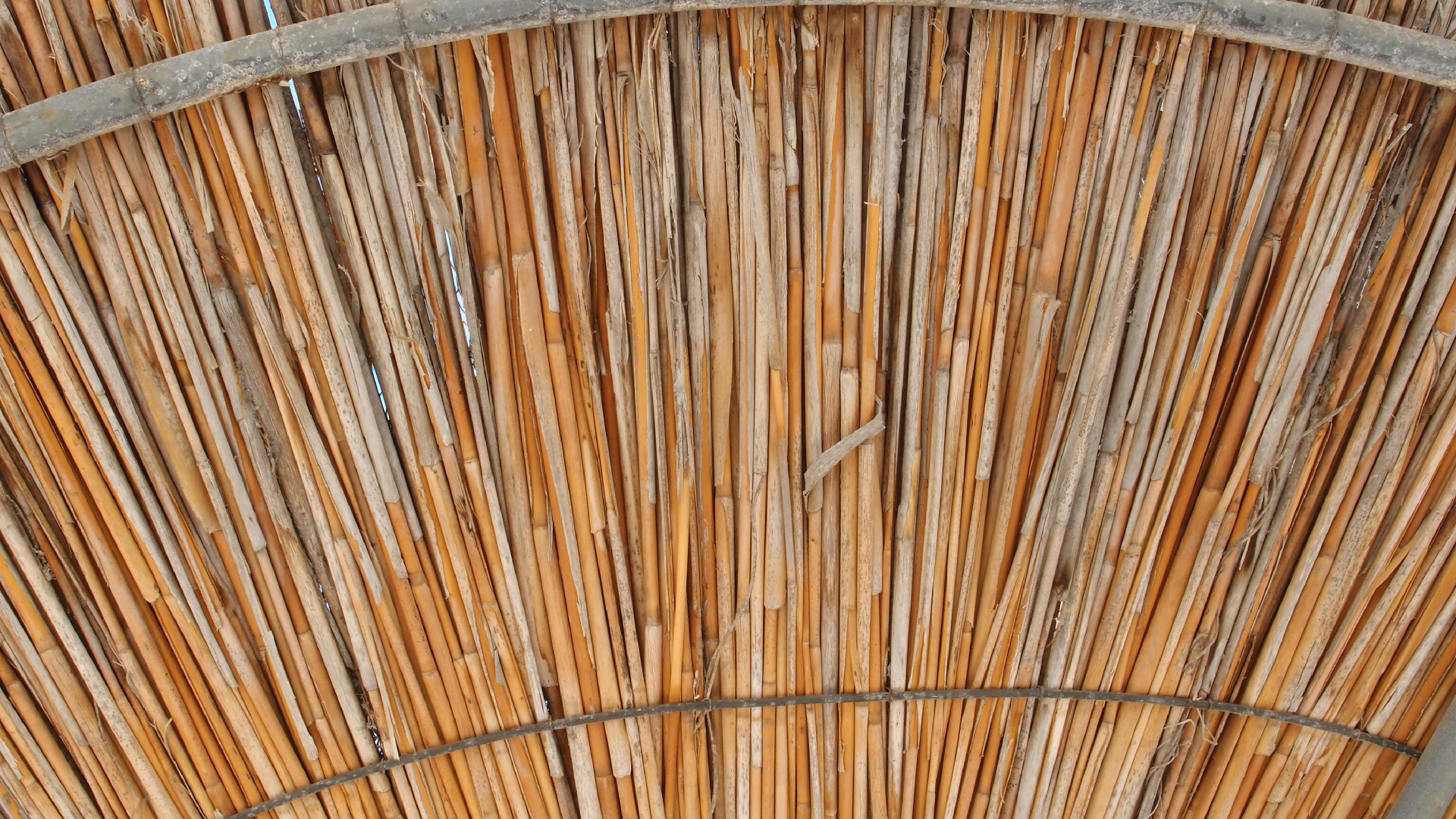 2021-09-17 03 Parasporos Beach Club (Zikaden) (Fieldrecording, Foto, Video)