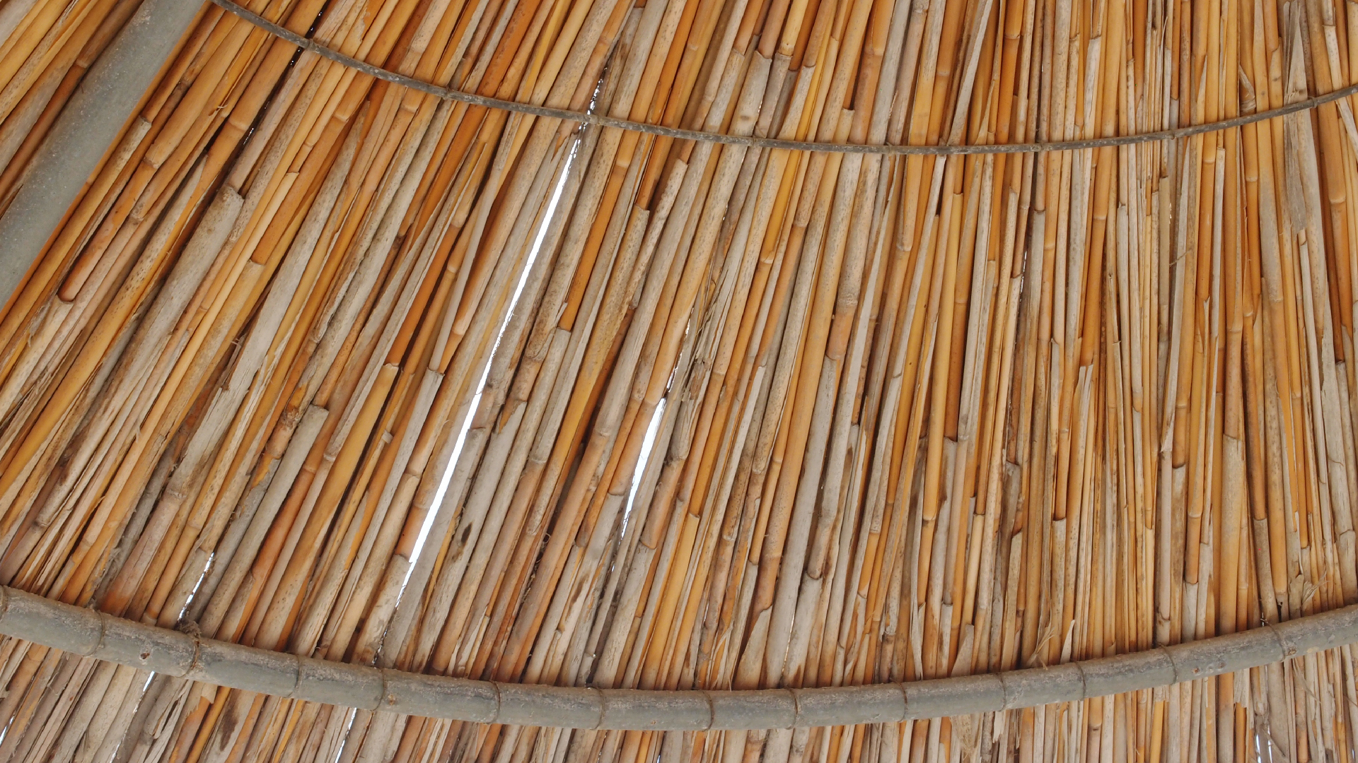 2021-09-17 03 Parasporos Beach Club (Zikaden) (Fieldrecording, Foto, Video)