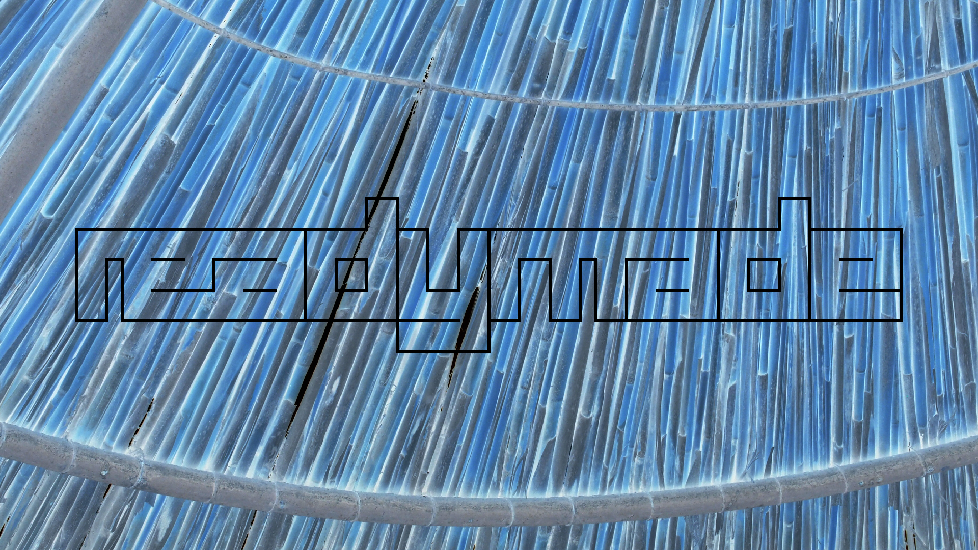 2021-09-17 03 Parasporos Beach Club (Zikaden) (Fieldrecording, Foto, Video)