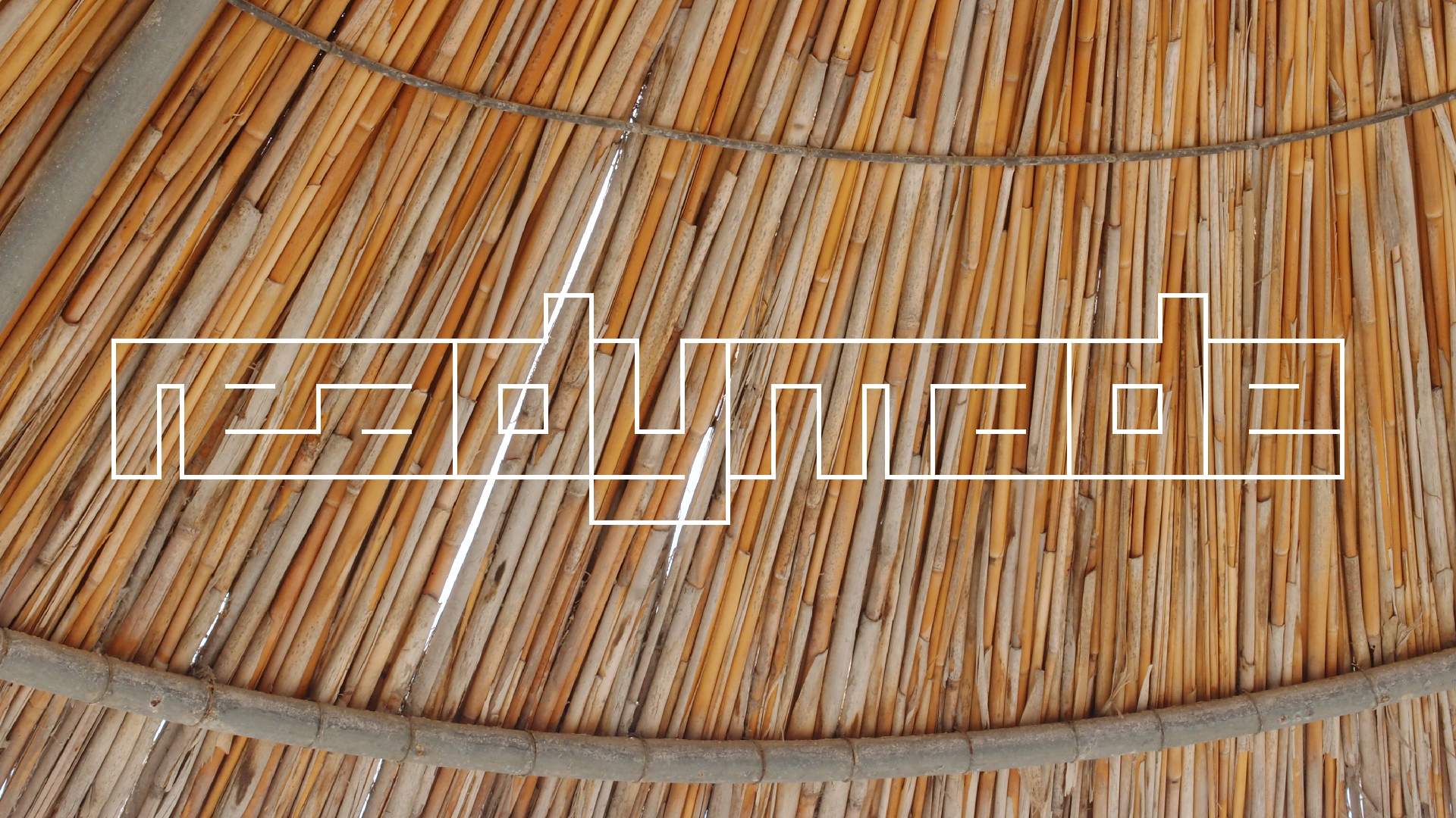 2021-09-17 03 Parasporos Beach Club (Zikaden) (Fieldrecording, Foto, Video)