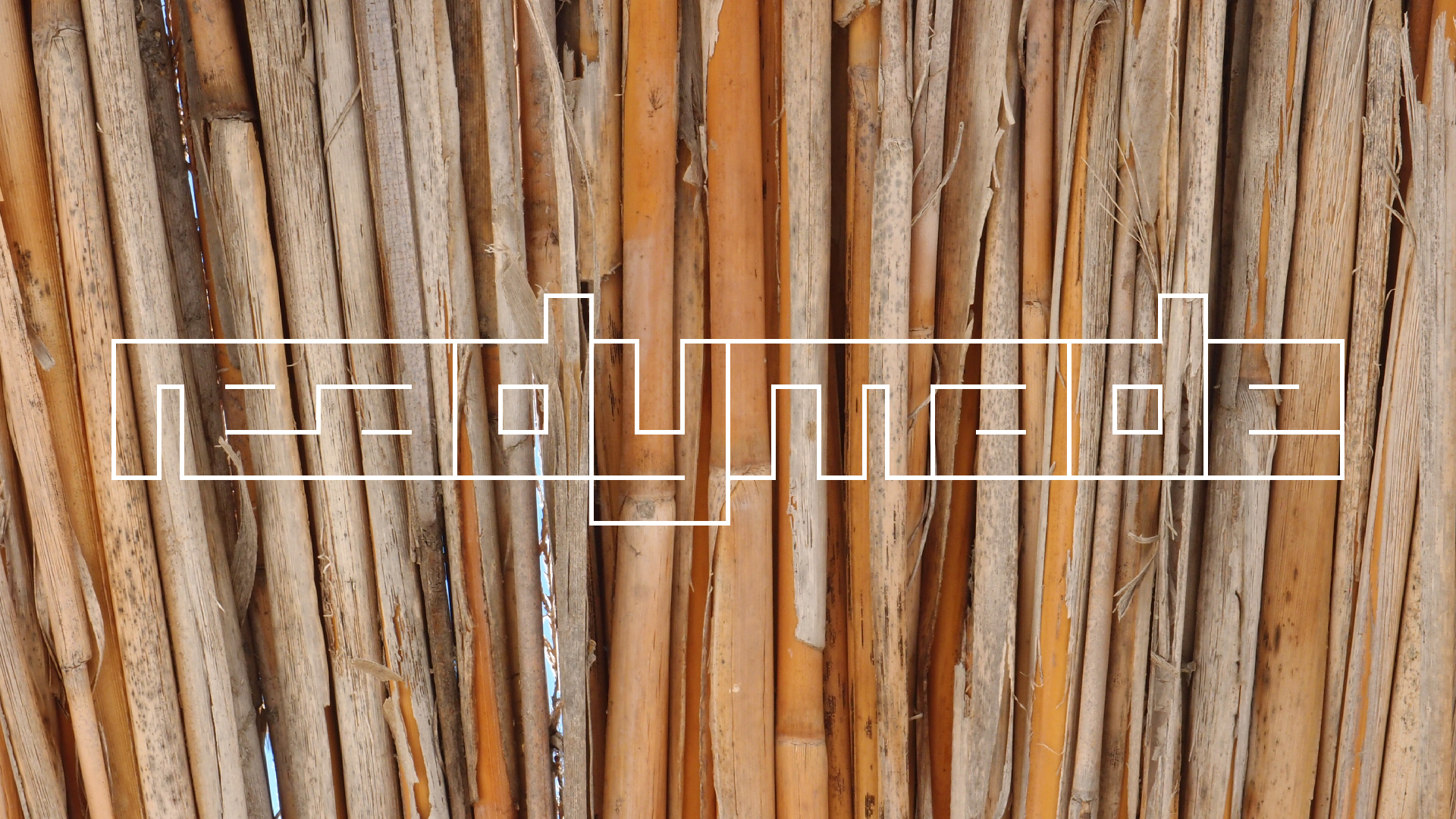 2021-09-17 03 Parasporos Beach Club (Zikaden) (Fieldrecording, Foto, Video)