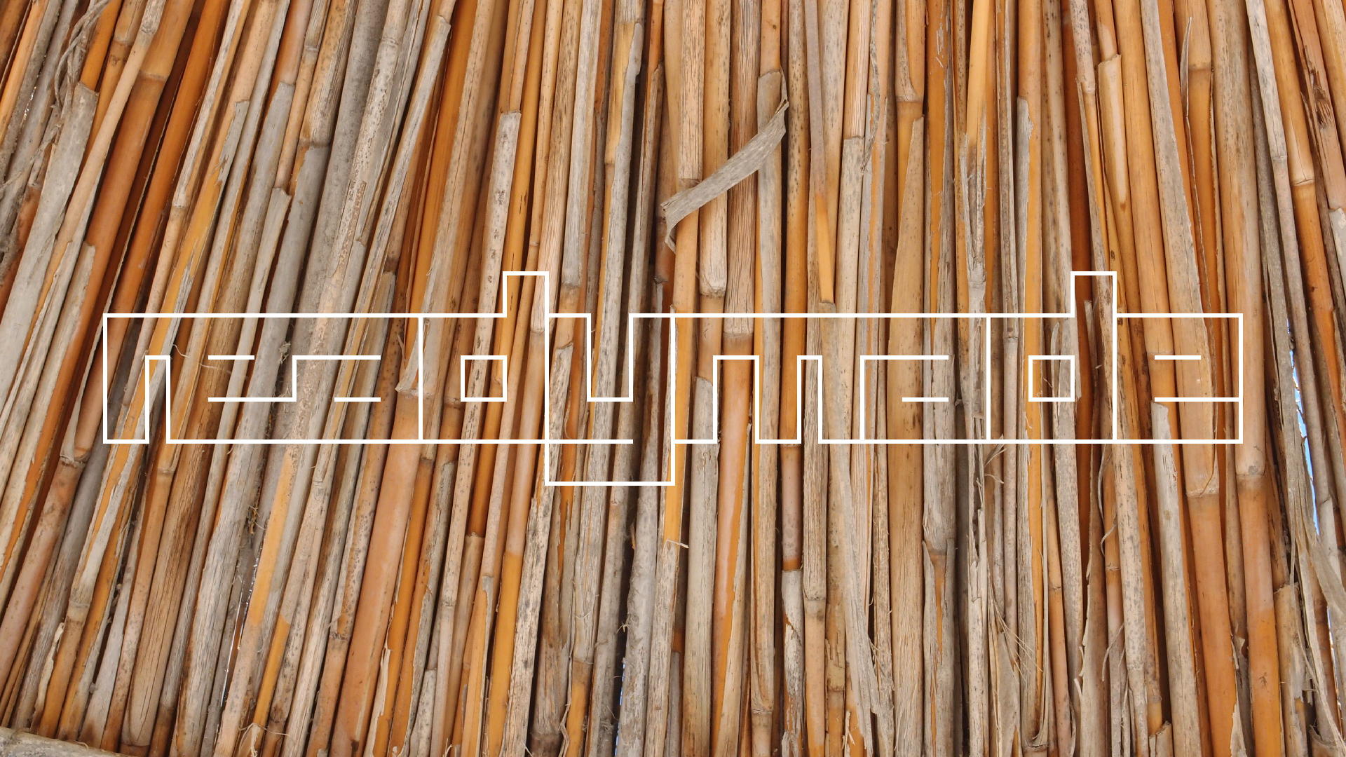 2021-09-17 03 Parasporos Beach Club (Zikaden) (Fieldrecording, Foto, Video)