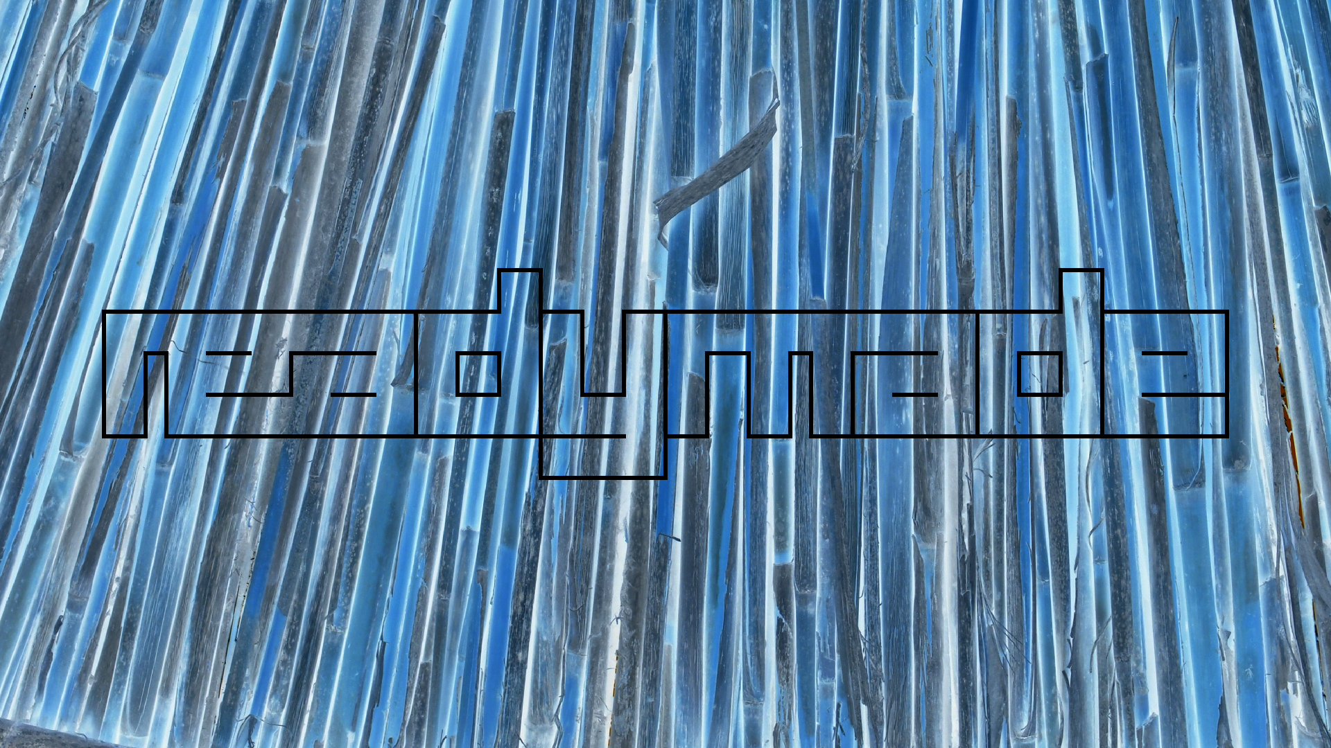 2021-09-17 03 Parasporos Beach Club (Zikaden) (Fieldrecording, Foto, Video)