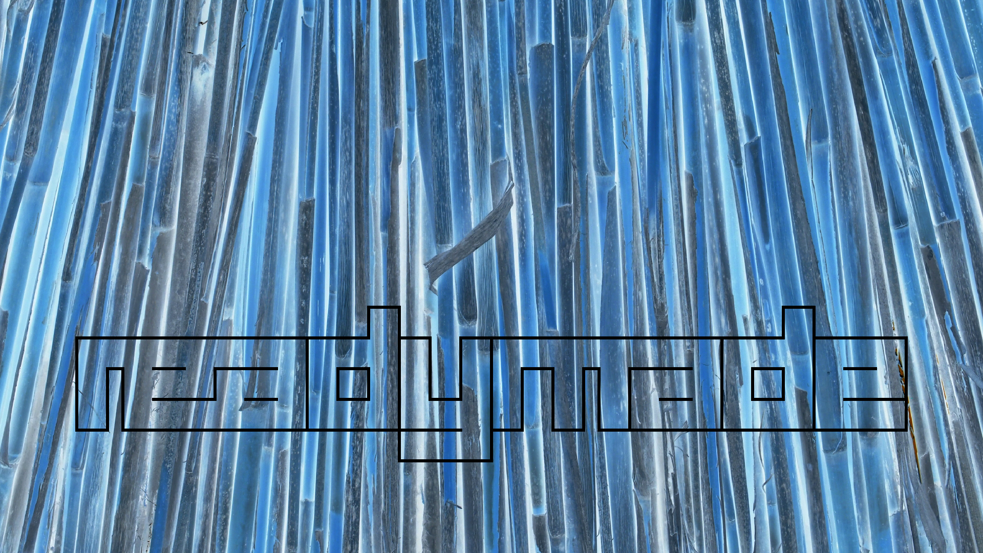 2021-09-17 03 Parasporos Beach Club (Zikaden) (Fieldrecording, Foto, Video)