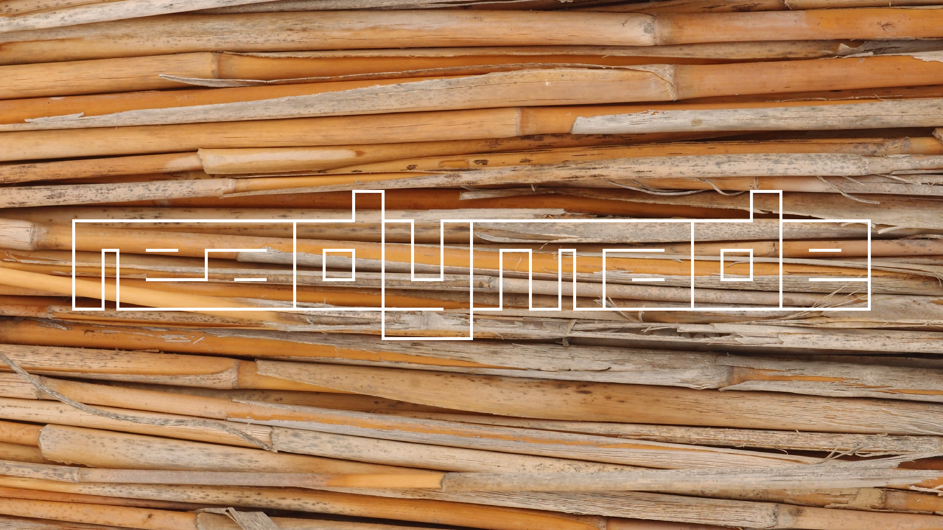 2021-09-17 03 Parasporos Beach Club (Zikaden) (Fieldrecording, Foto, Video)