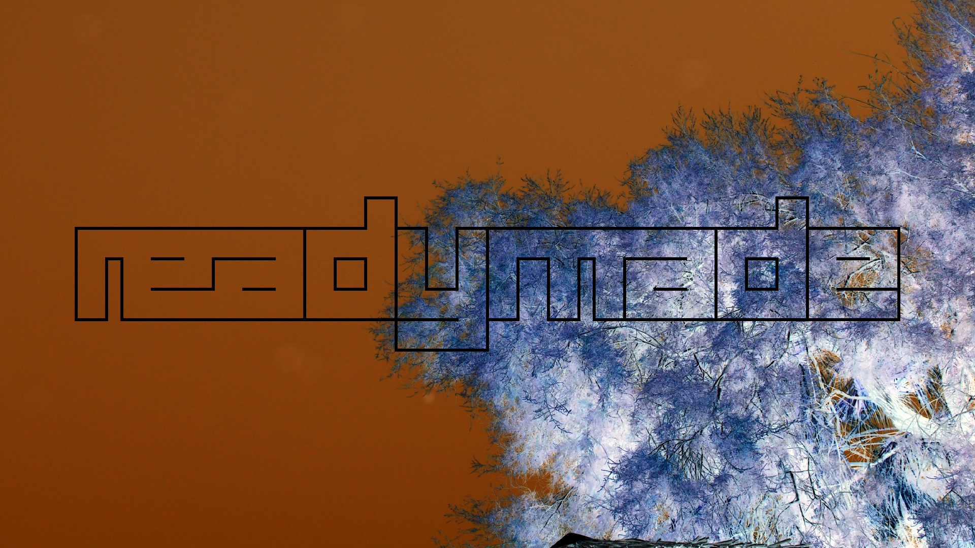 2021-09-17 03 Parasporos Beach Club (Zikaden) (Fieldrecording, Foto, Video)