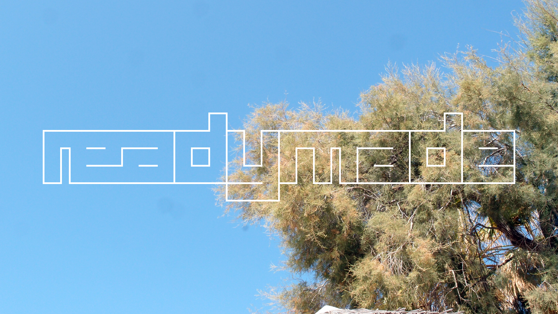 2021-09-17 03 Parasporos Beach Club (Zikaden) (Fieldrecording, Foto, Video)