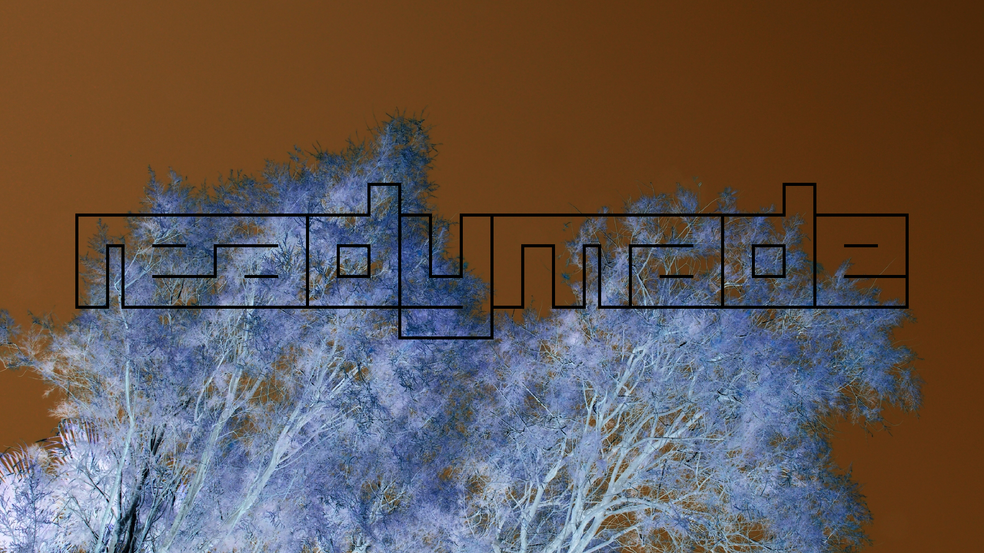 2021-09-17 03 Parasporos Beach Club (Zikaden) (Fieldrecording, Foto, Video)