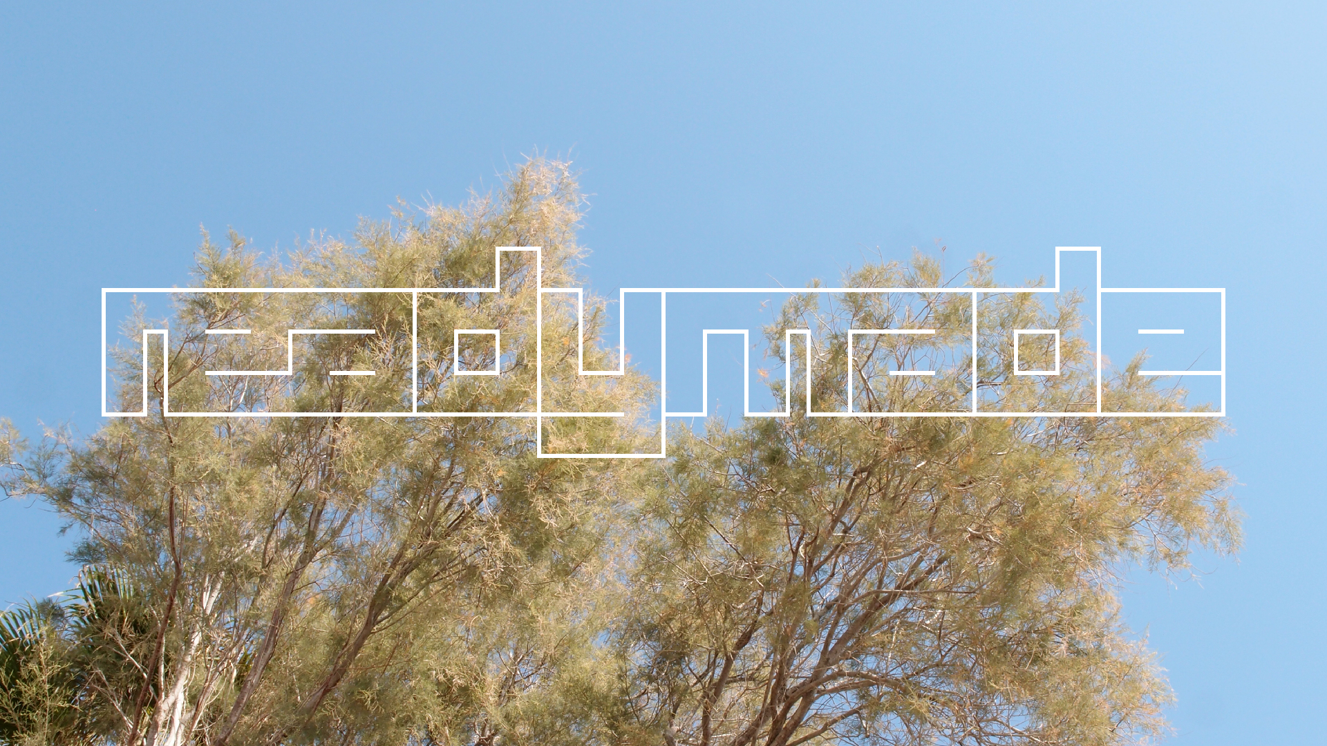 2021-09-17 03 Parasporos Beach Club (Zikaden) (Fieldrecording, Foto, Video)