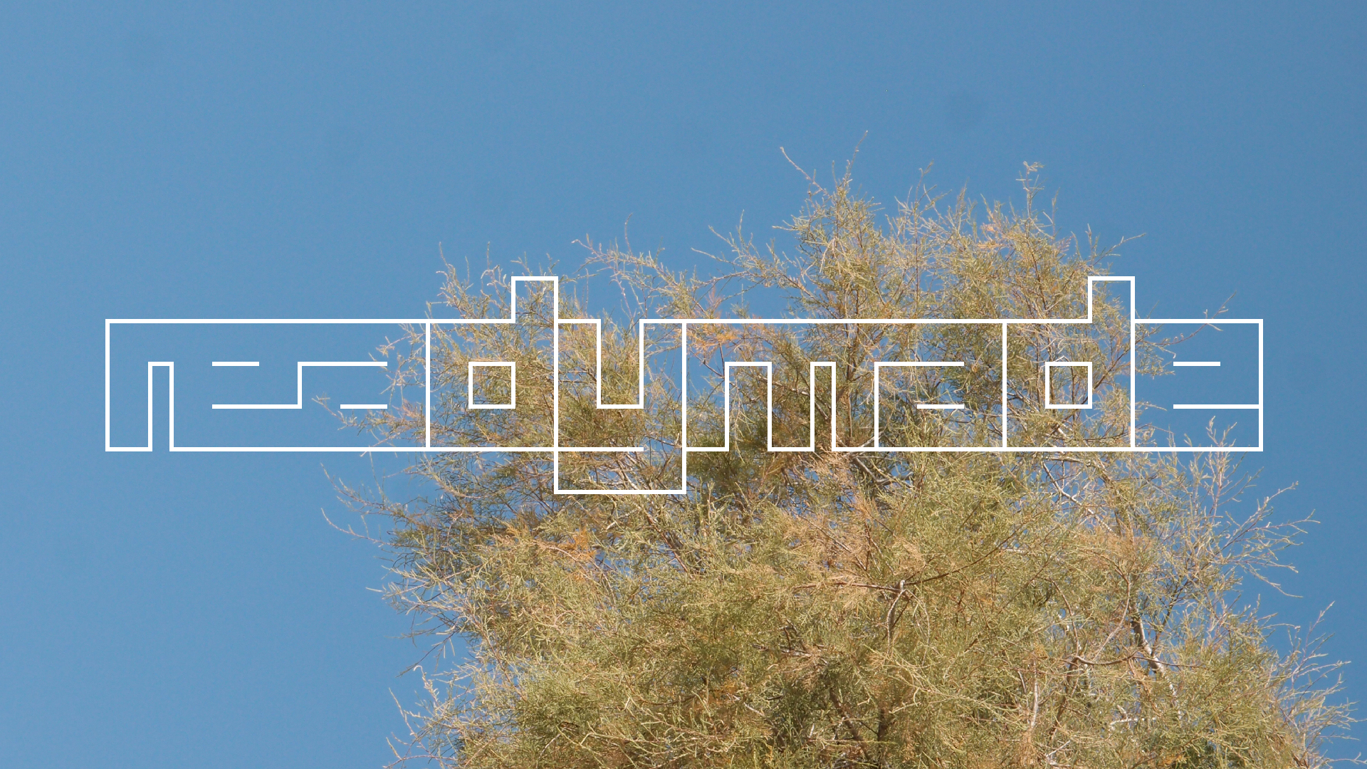 2021-09-17 03 Parasporos Beach Club (Zikaden) (Fieldrecording, Foto, Video)