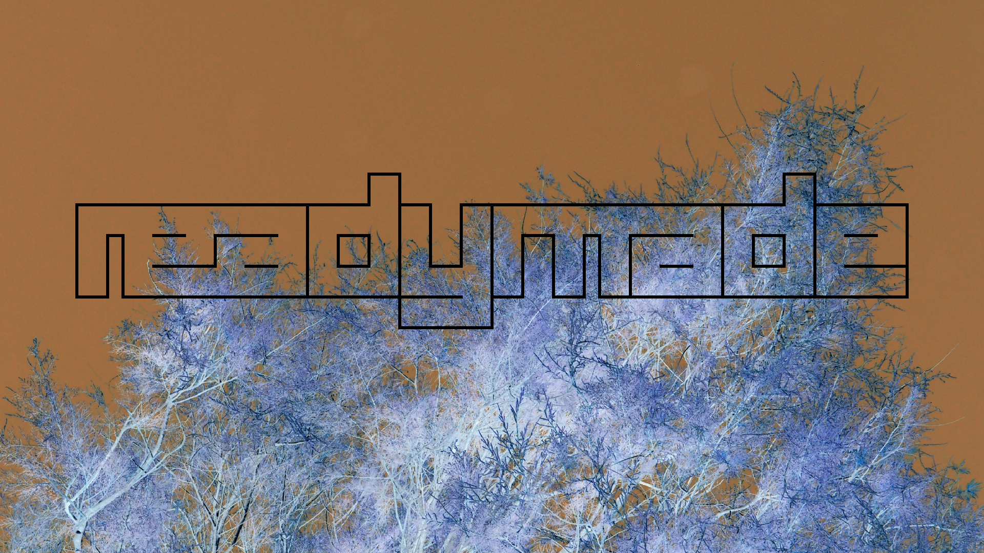 2021-09-17 03 Parasporos Beach Club (Zikaden) (Fieldrecording, Foto, Video)