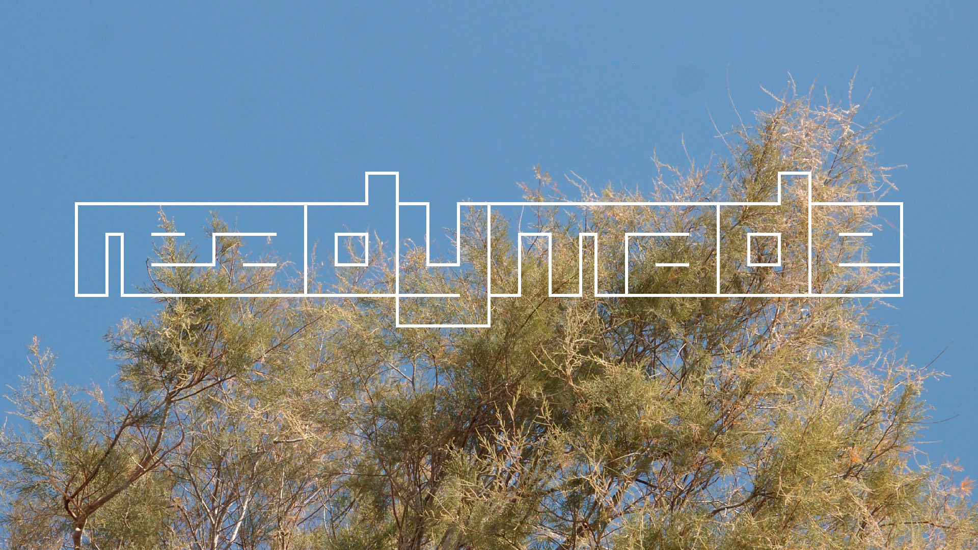 2021-09-17 03 Parasporos Beach Club (Zikaden) (Fieldrecording, Foto, Video)