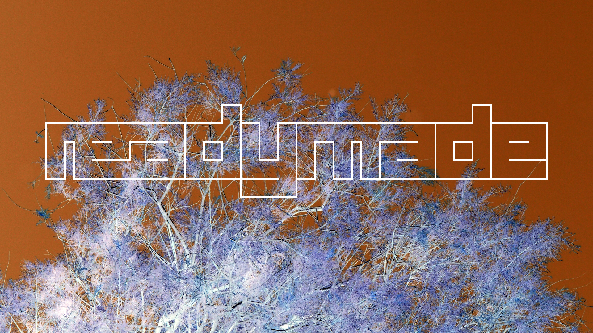 2021-09-17 03 Parasporos Beach Club (Zikaden) (Fieldrecording, Foto, Video)