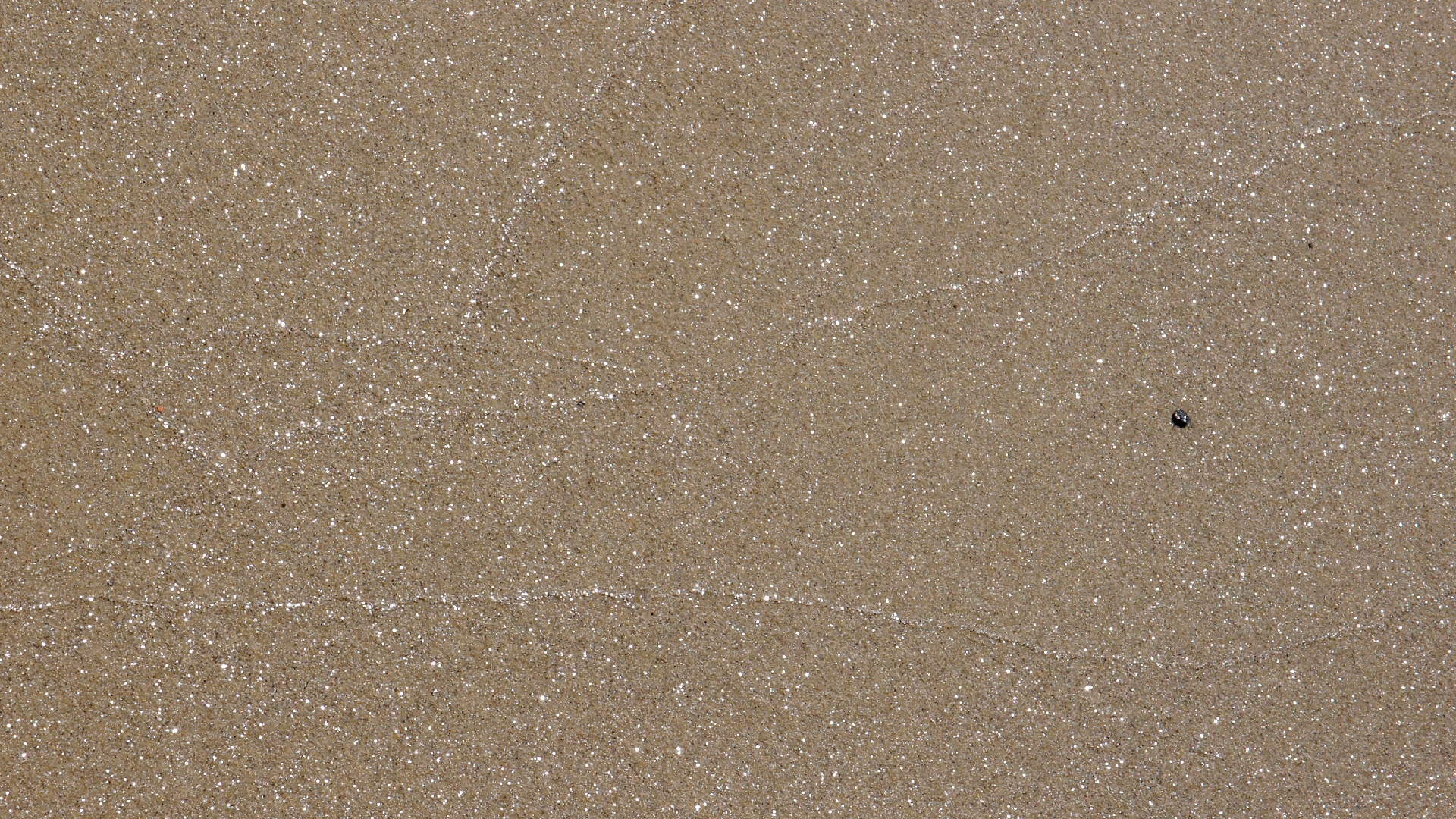 2021-09-17 03 Parasporos Beach Club (Zikaden) (Fieldrecording, Foto, Video)