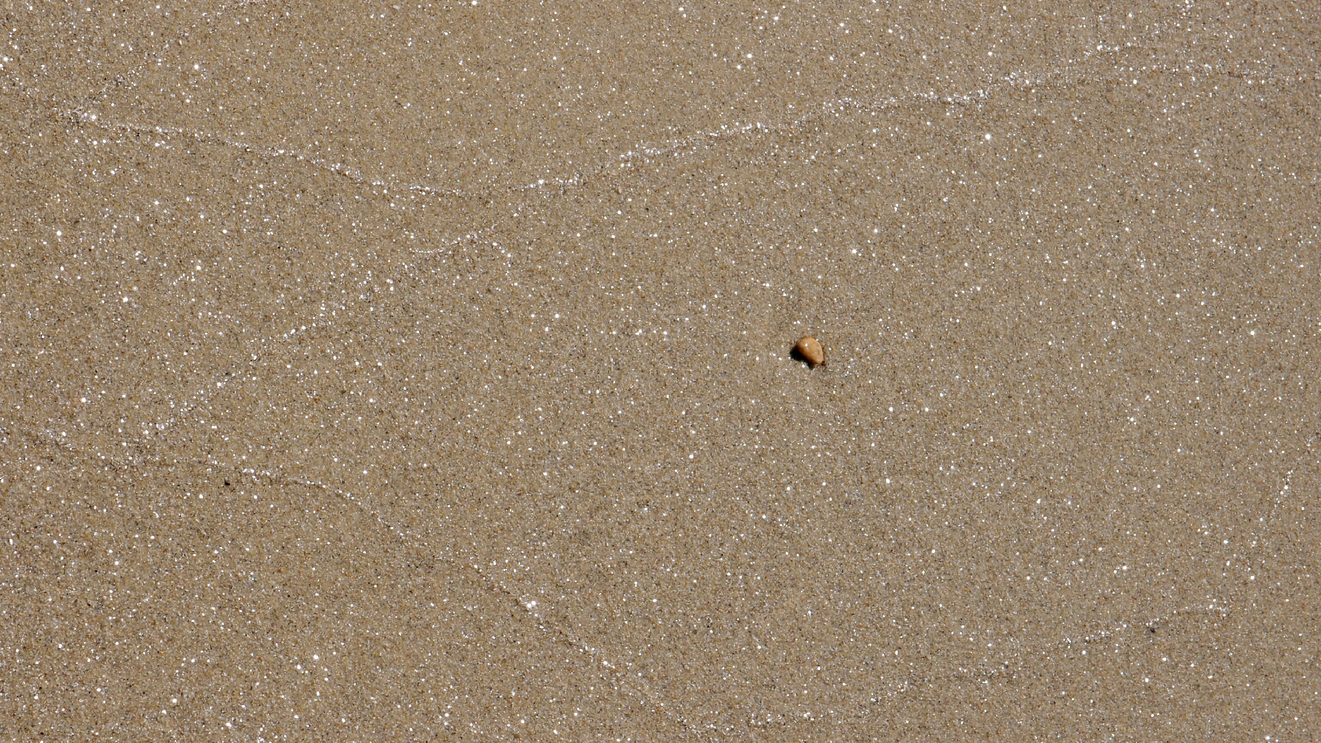 2021-09-17 03 Parasporos Beach Club (Zikaden) (Fieldrecording, Foto, Video)